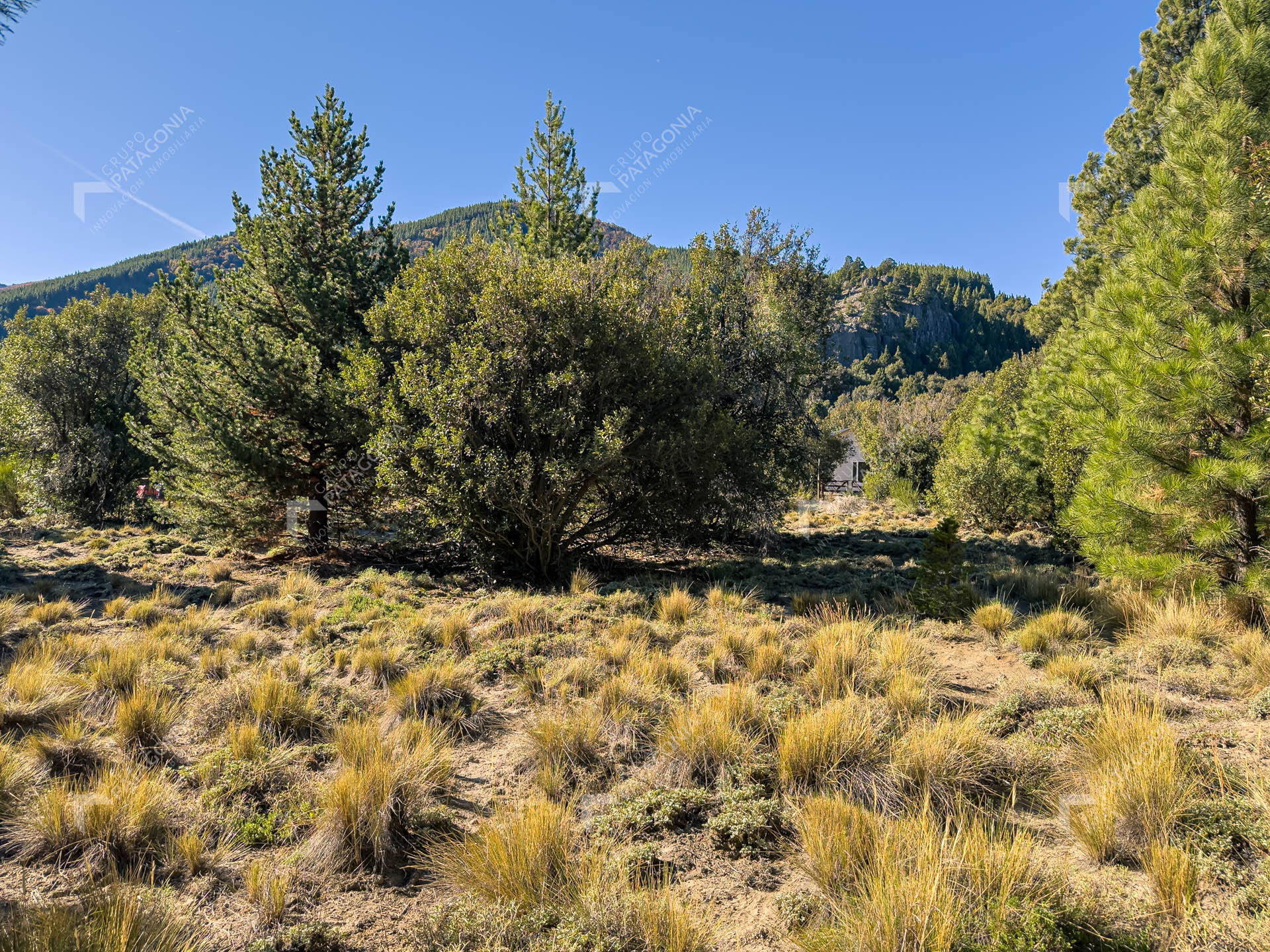 lote terreno en venta en villa lago meliquina san martin de los andes neuquen patagonia argentina