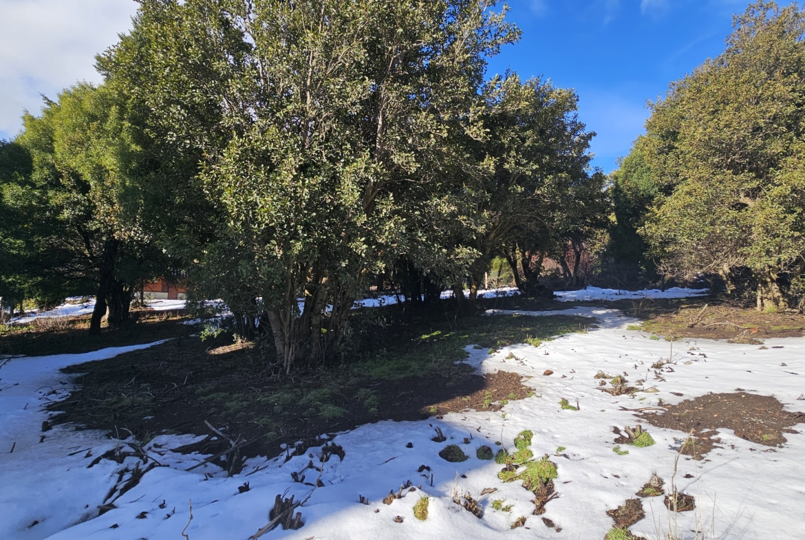 Terreno en venta en Playa Bonita   San Martin de Los Andes Patagonia argentina!!!