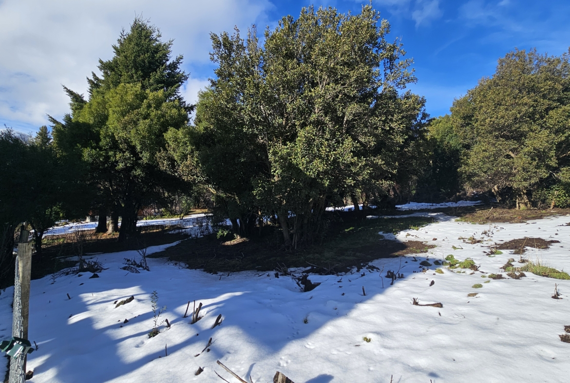 Terreno en venta en Playa Bonita   San Martin de Los Andes Patagonia argentina!!!