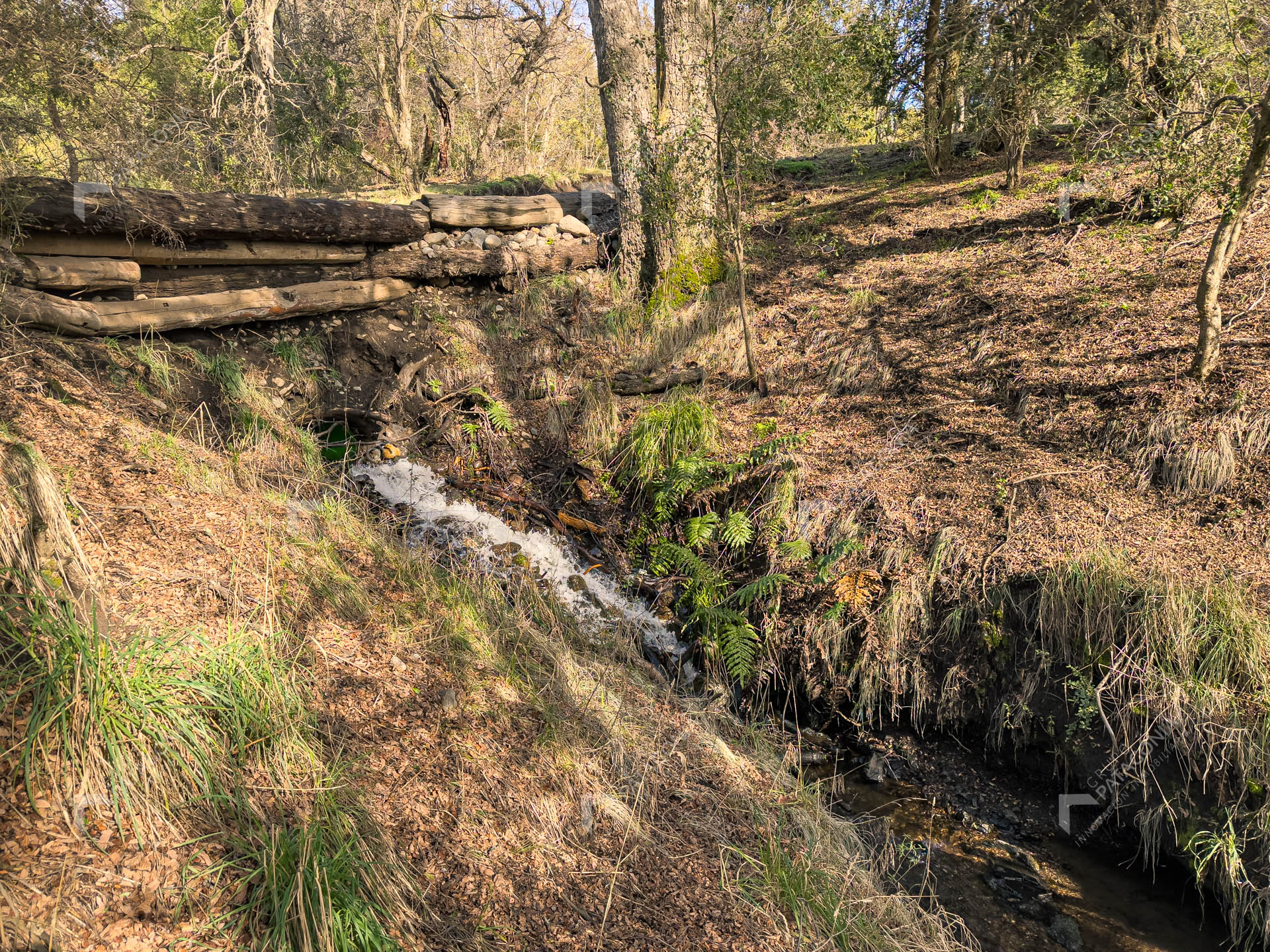ERS_2026_037_0001