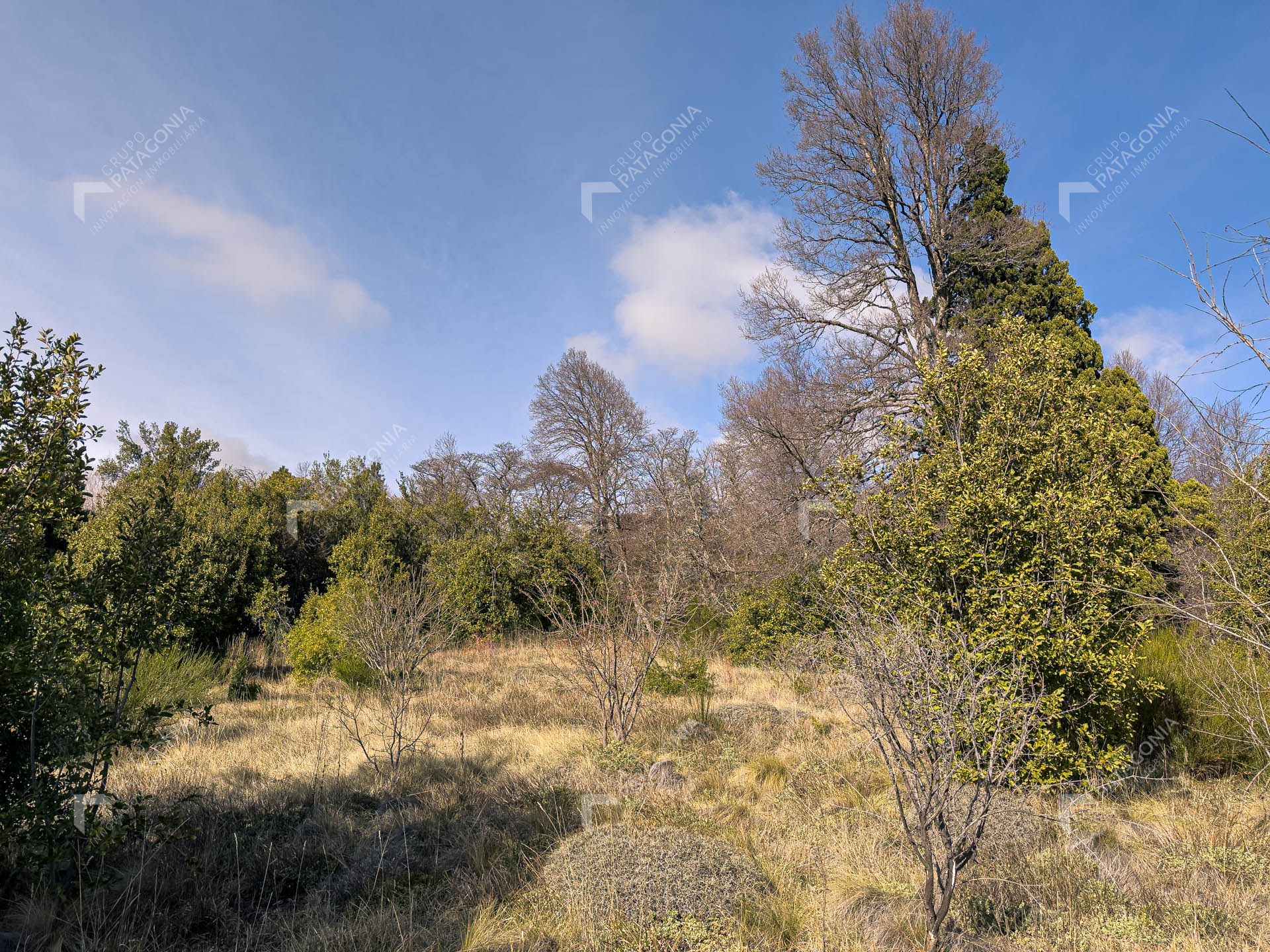 ERS_2026_037_0003