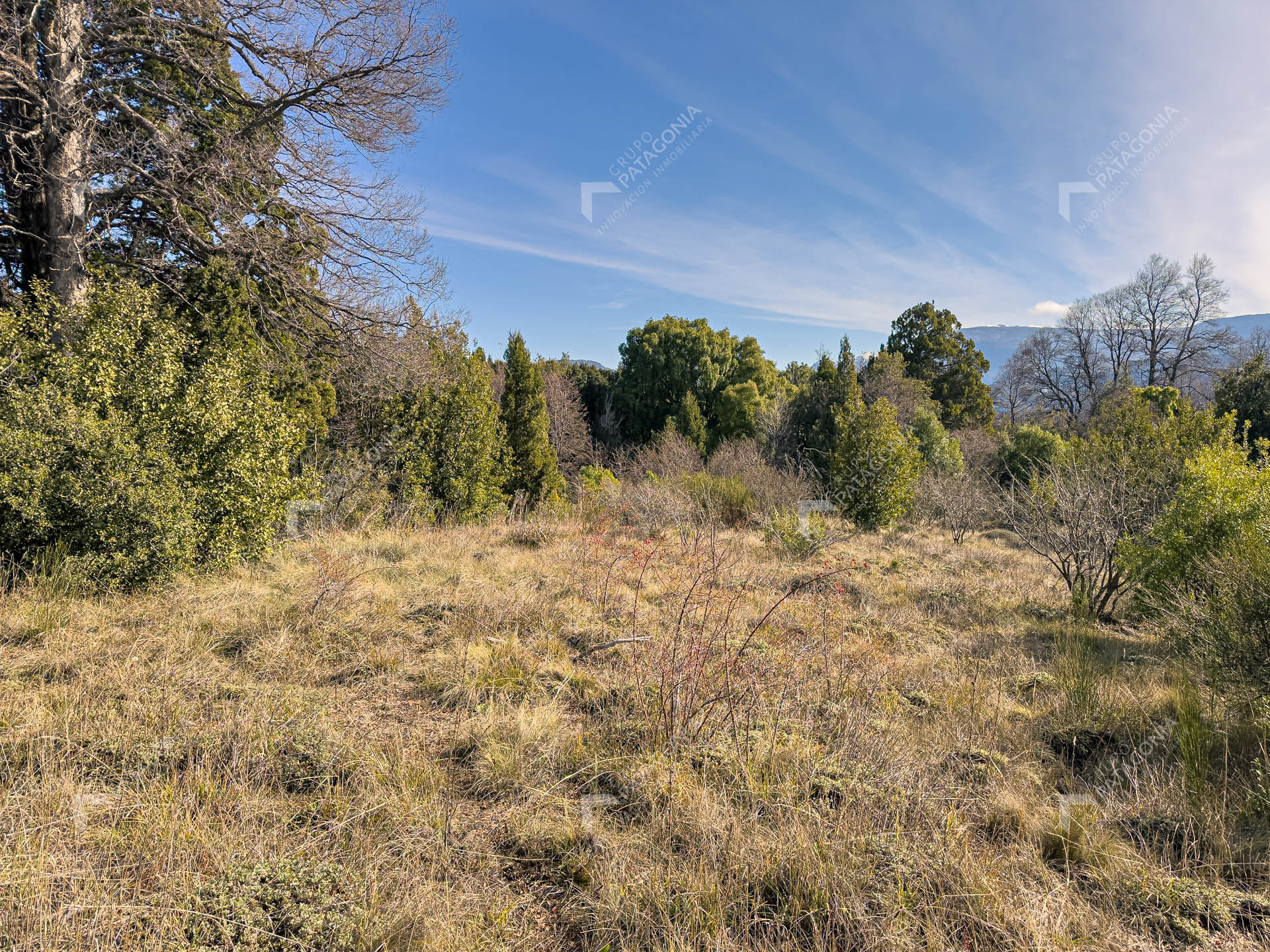 ERS_2026_037_0004
