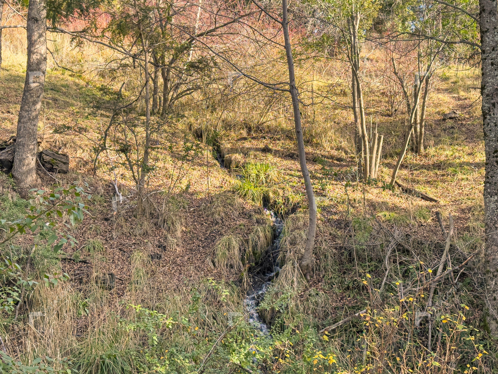 ERS_2026_037_0005