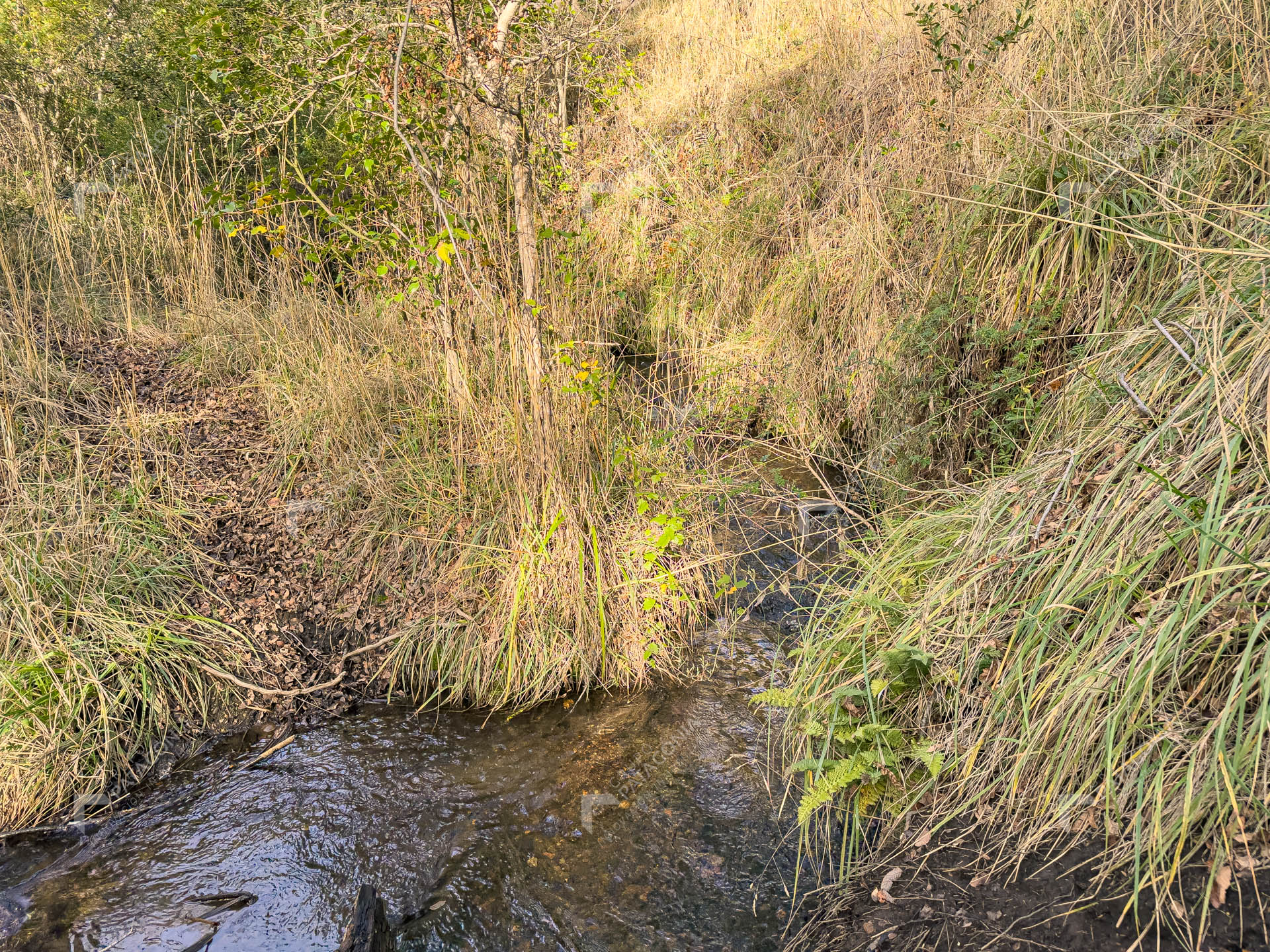 ERS_2026_037_0006