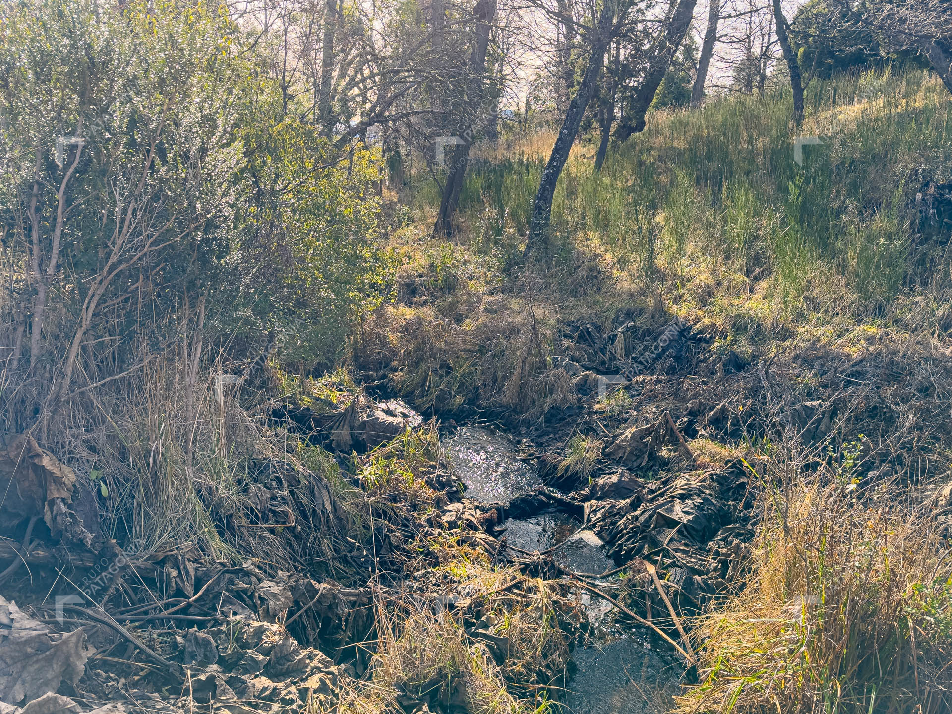 ERS_2026_037_0007