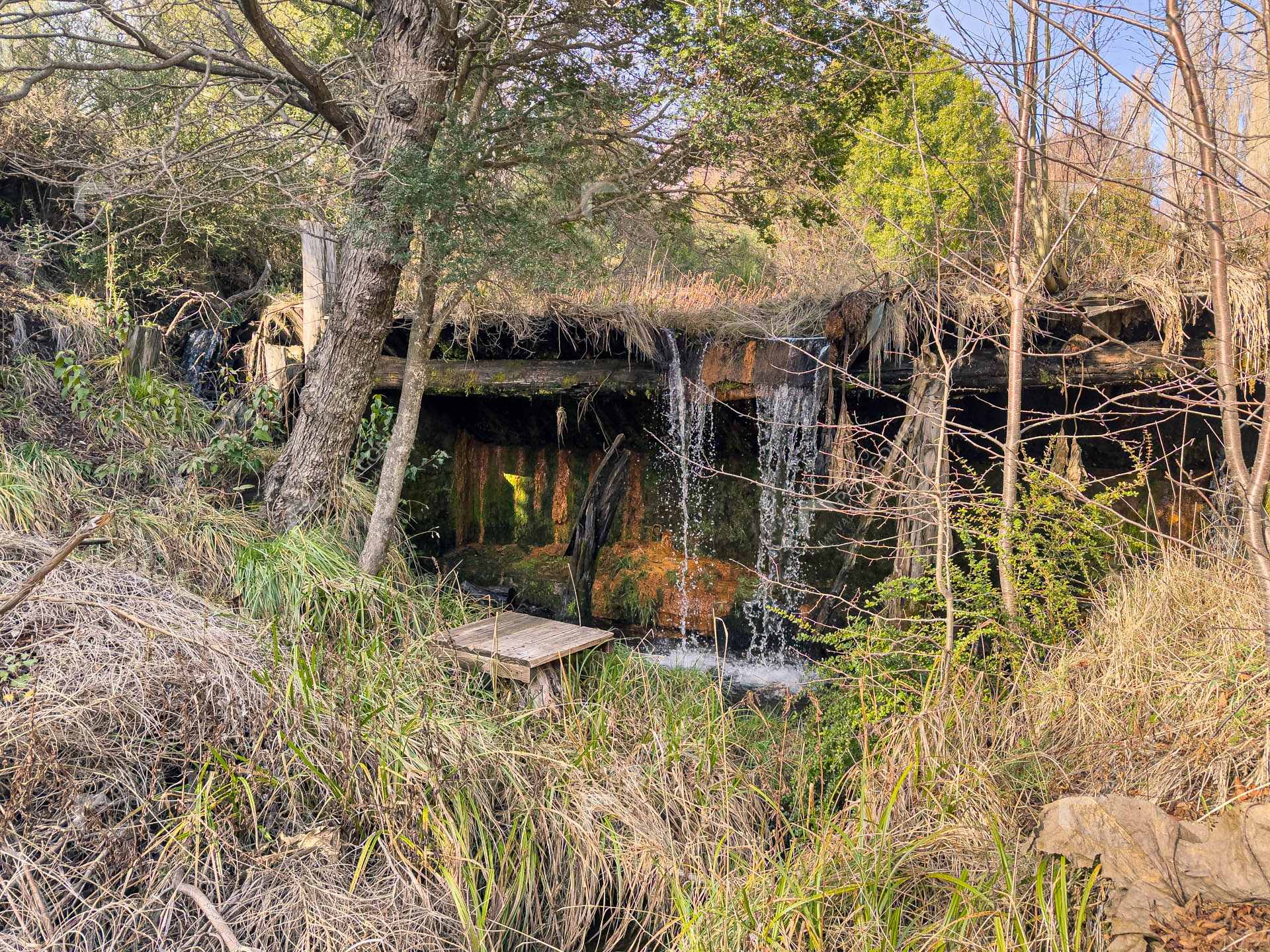 ERS_2026_037_0008