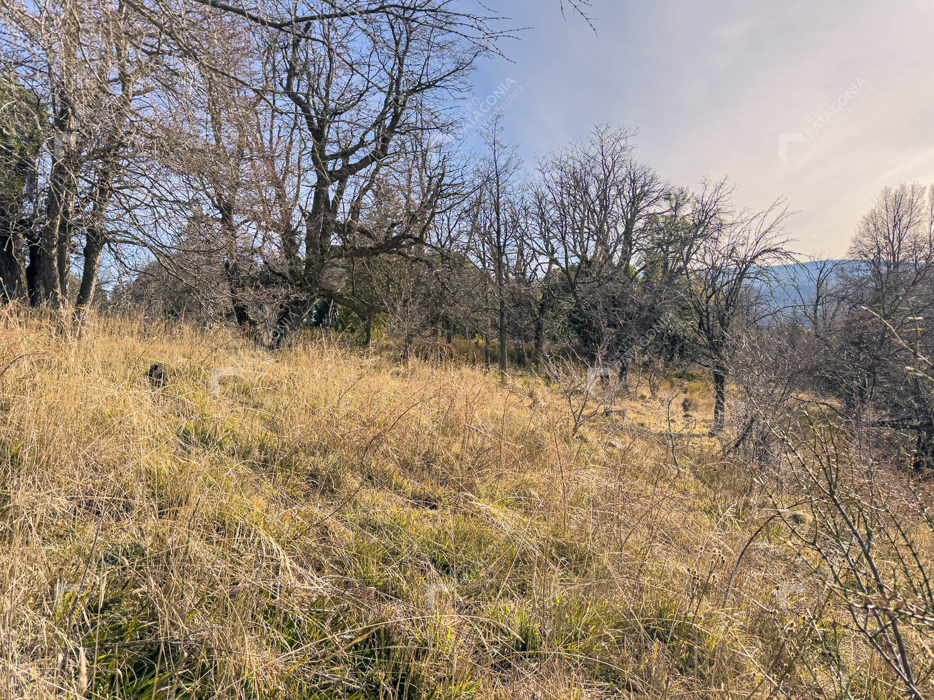 ERS_2026_037_0009