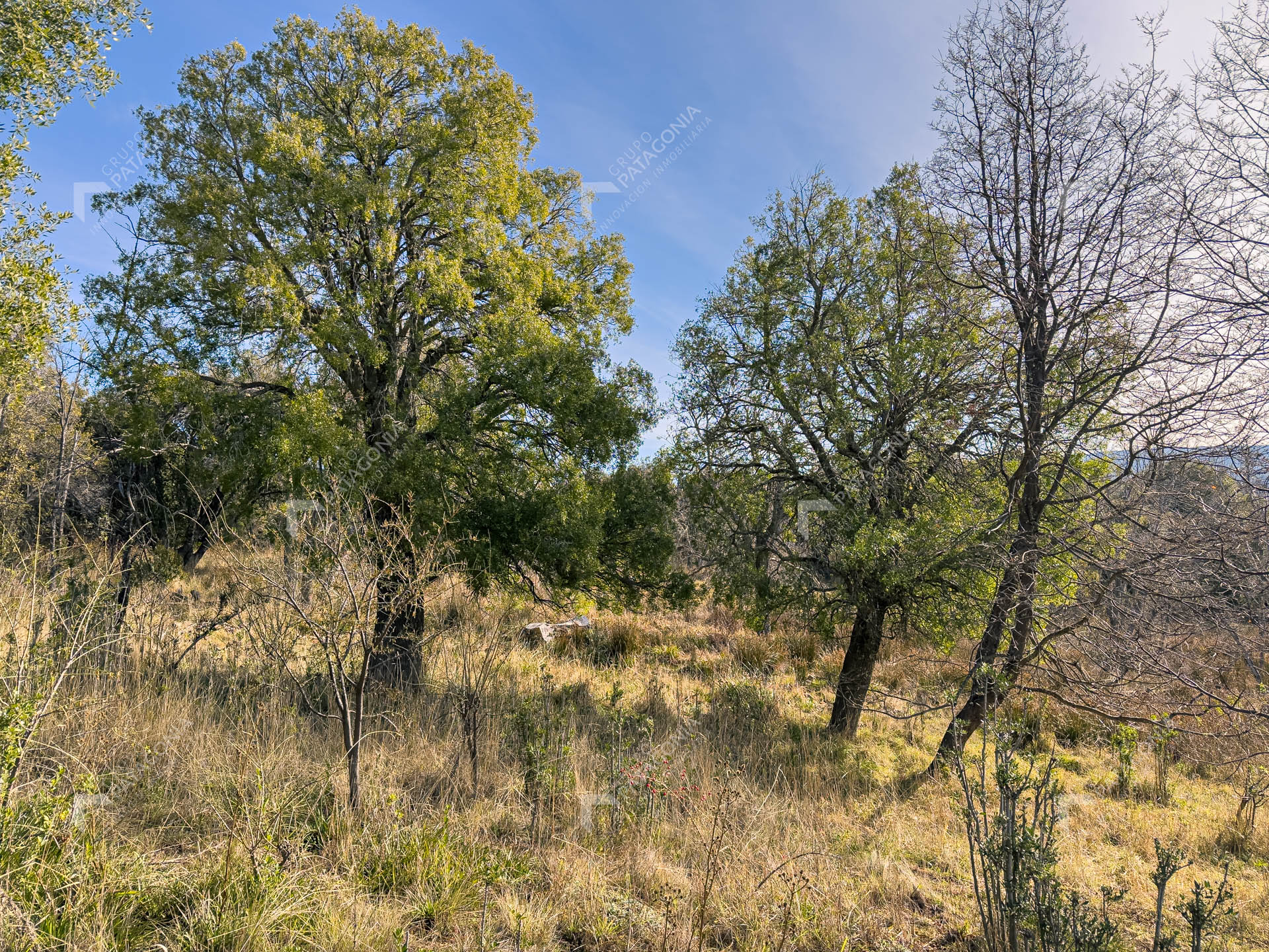 ERS_2026_037_0010