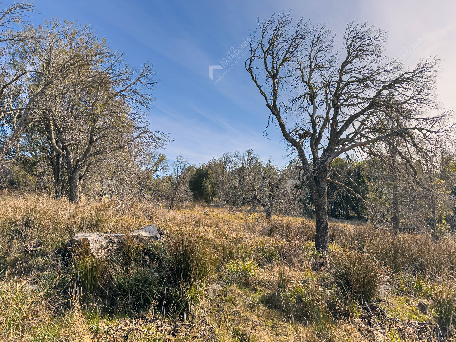 ERS_2026_037_0011