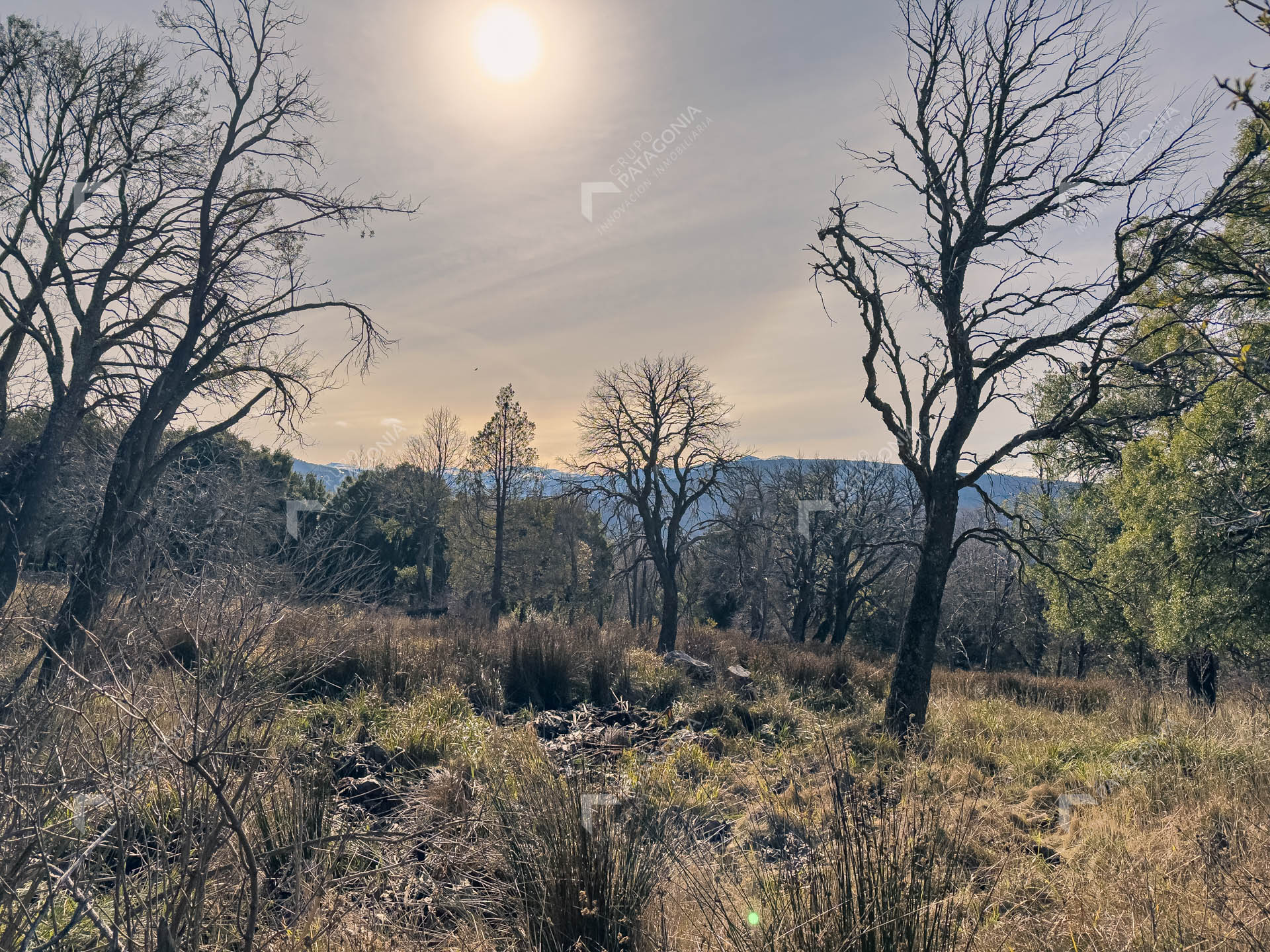ERS_2026_037_0012