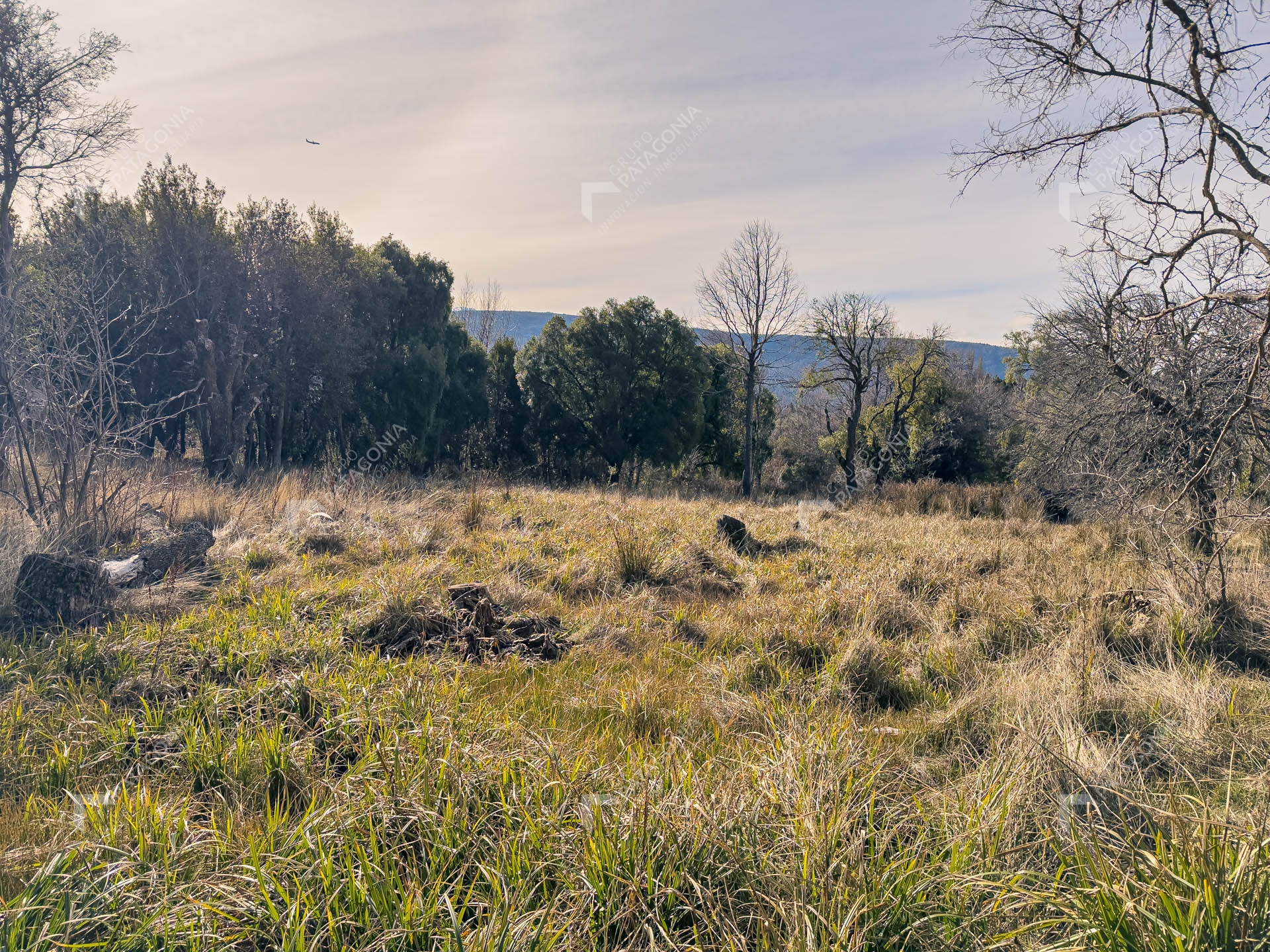 ERS_2026_037_0013