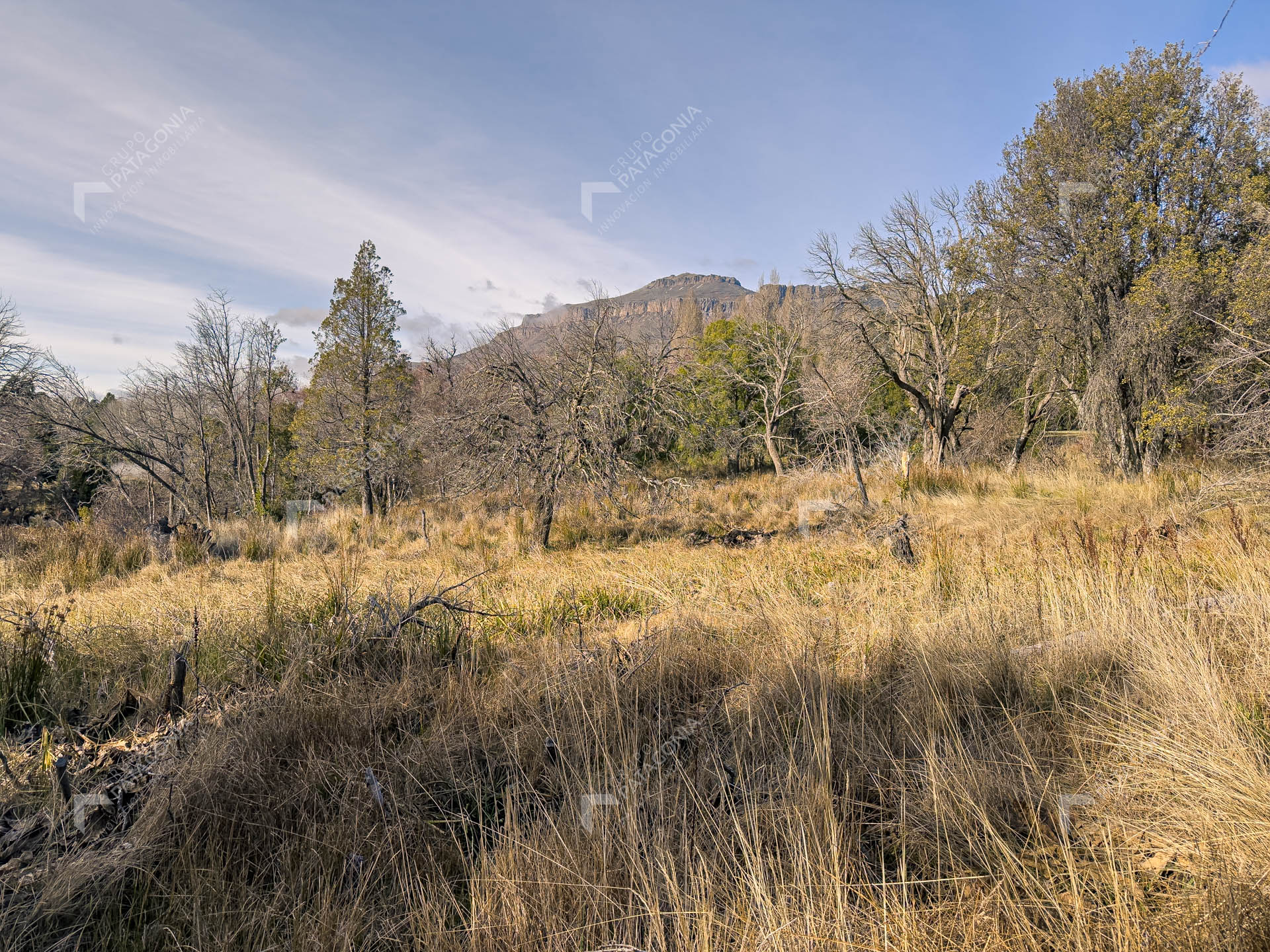 ERS_2026_037_0014