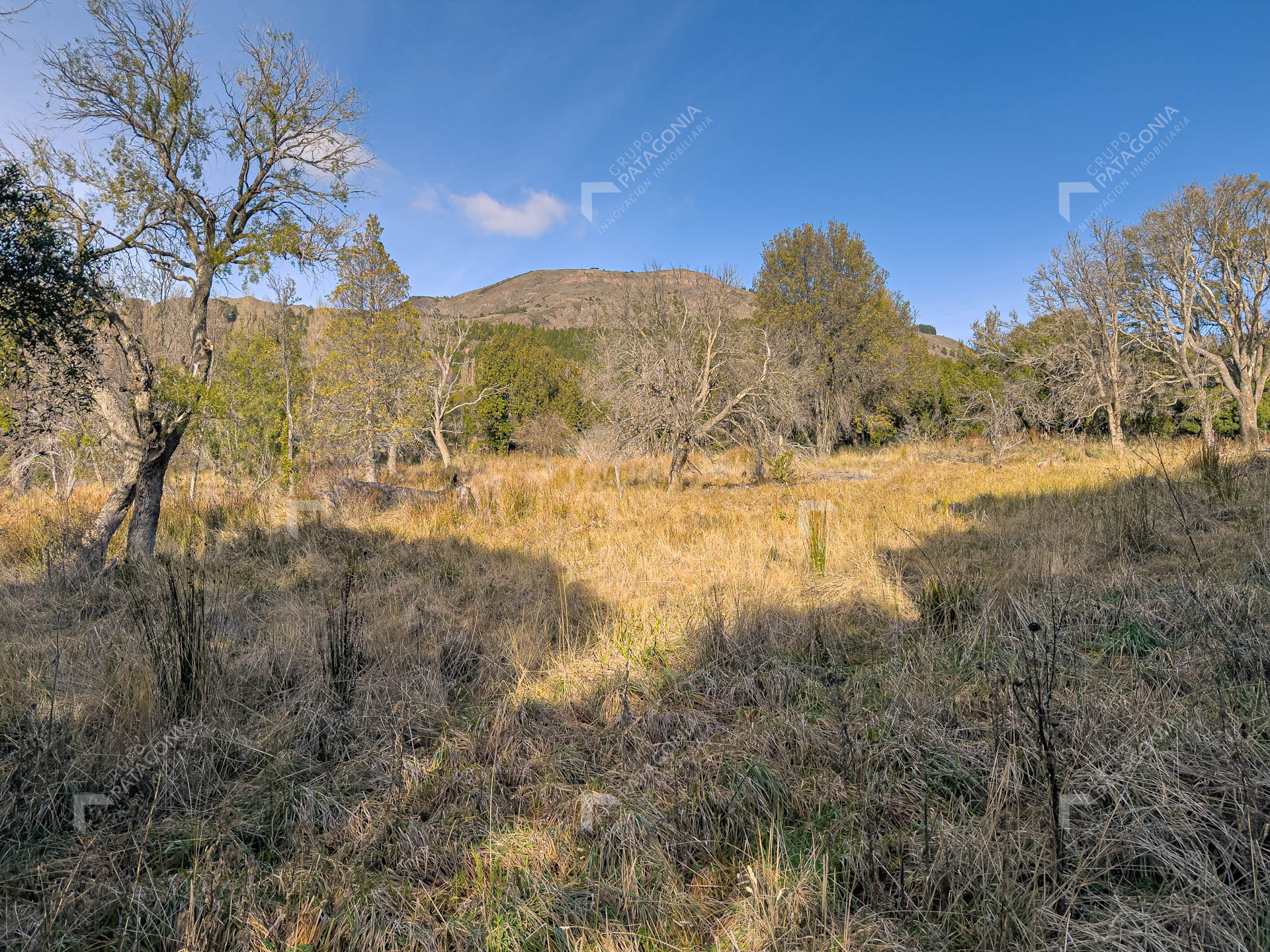 ERS_2026_037_0015