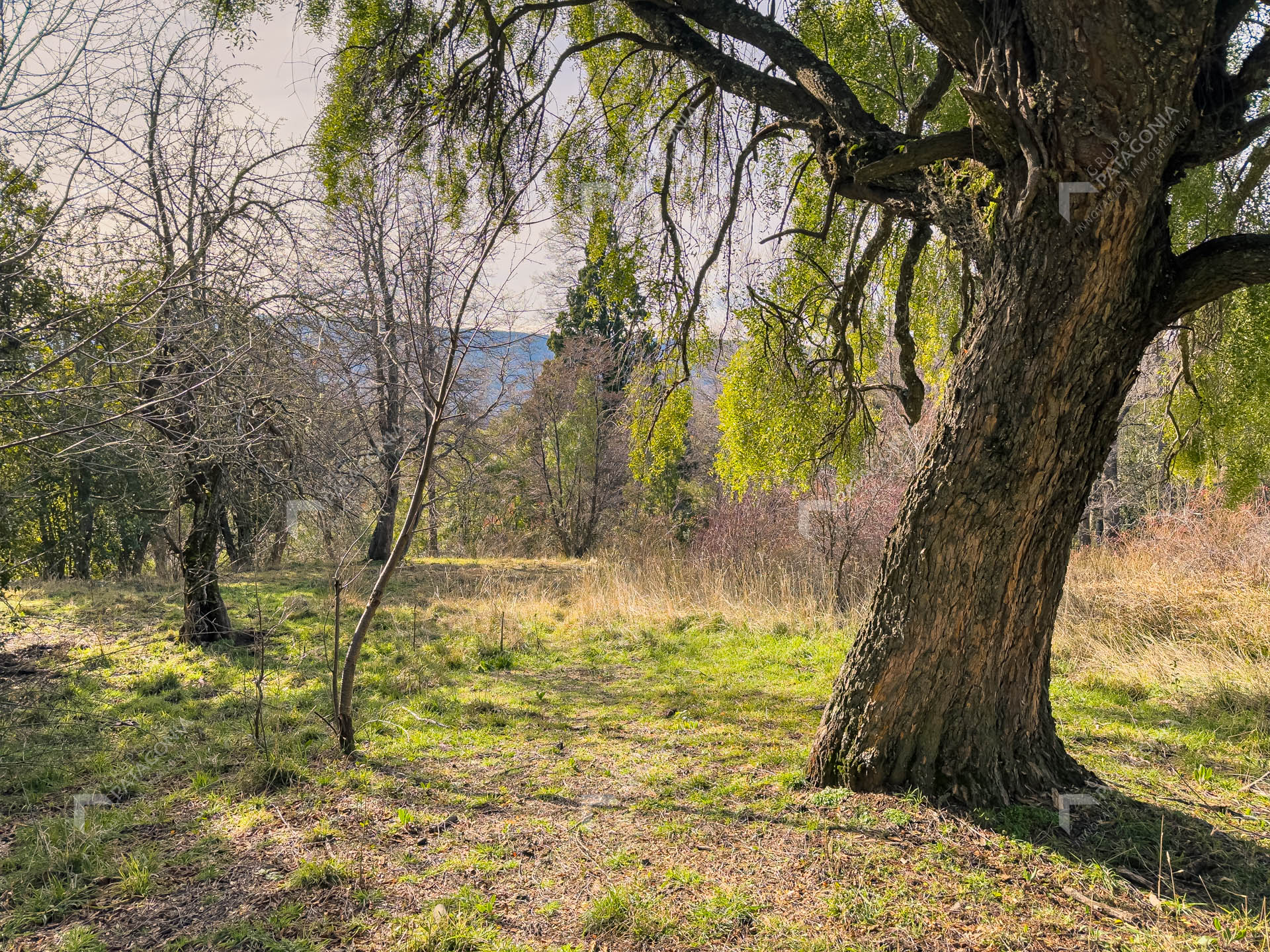 ERS_2026_037_0016