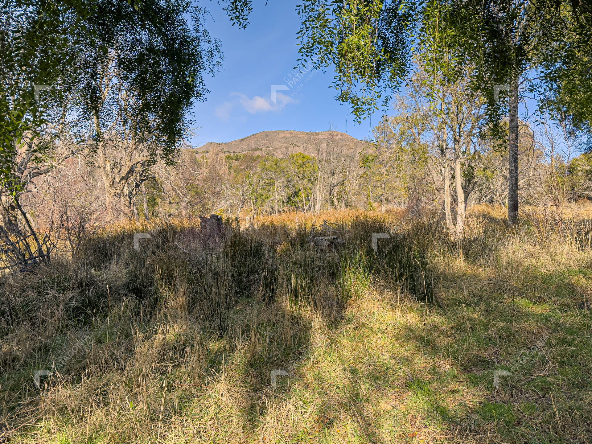 ERS_2026_037_0017