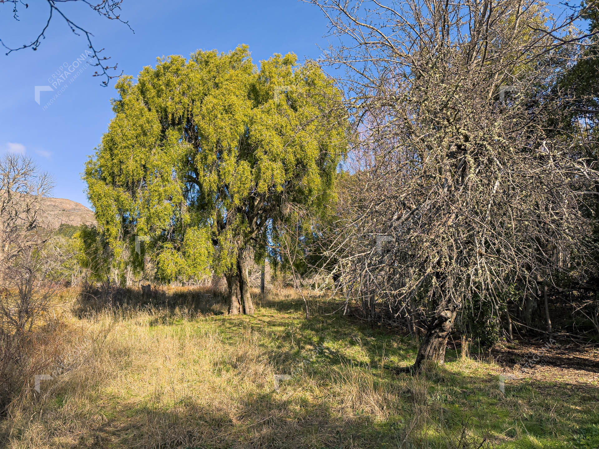 ERS_2026_037_0018