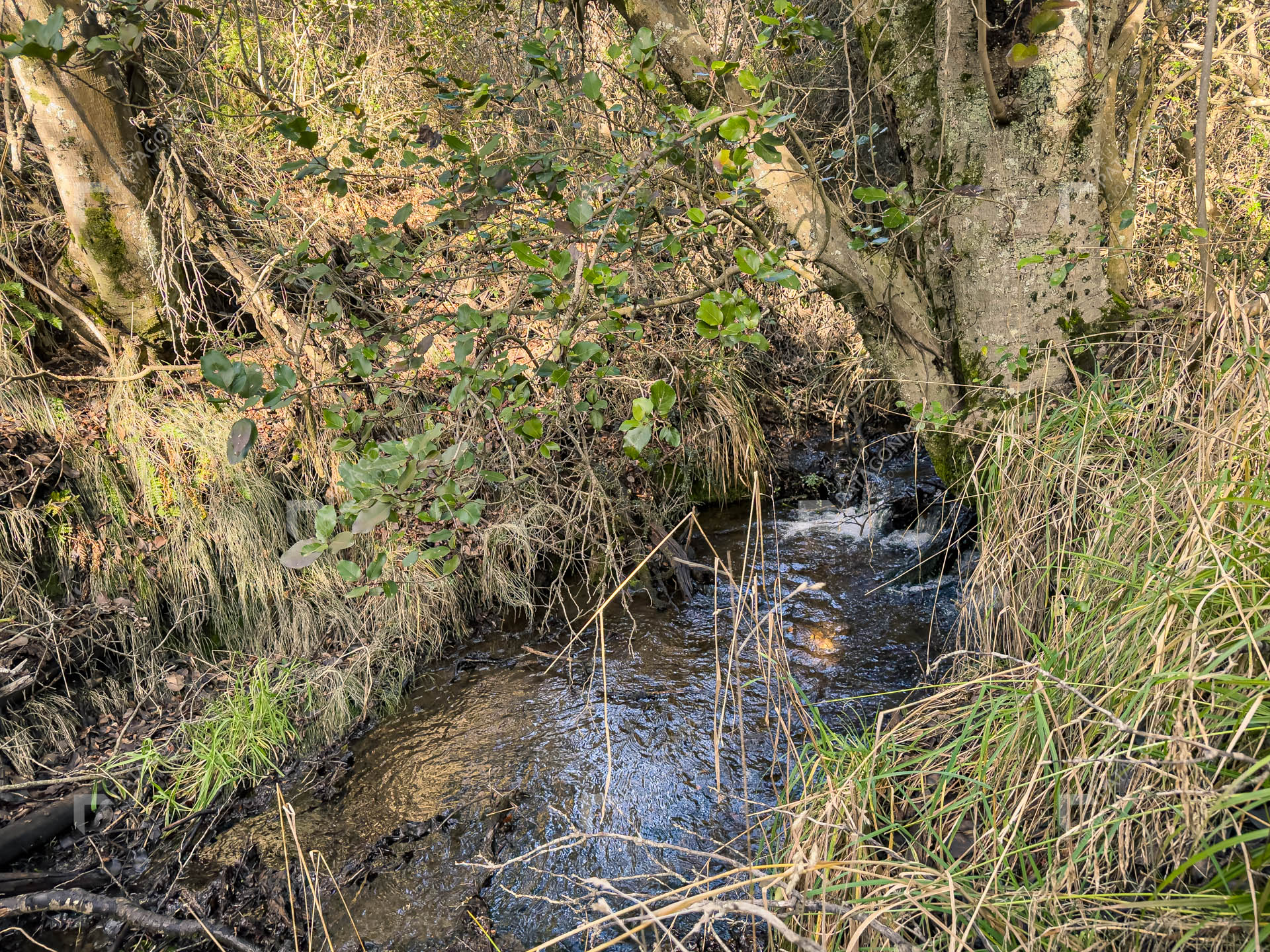 ERS_2026_037_0019