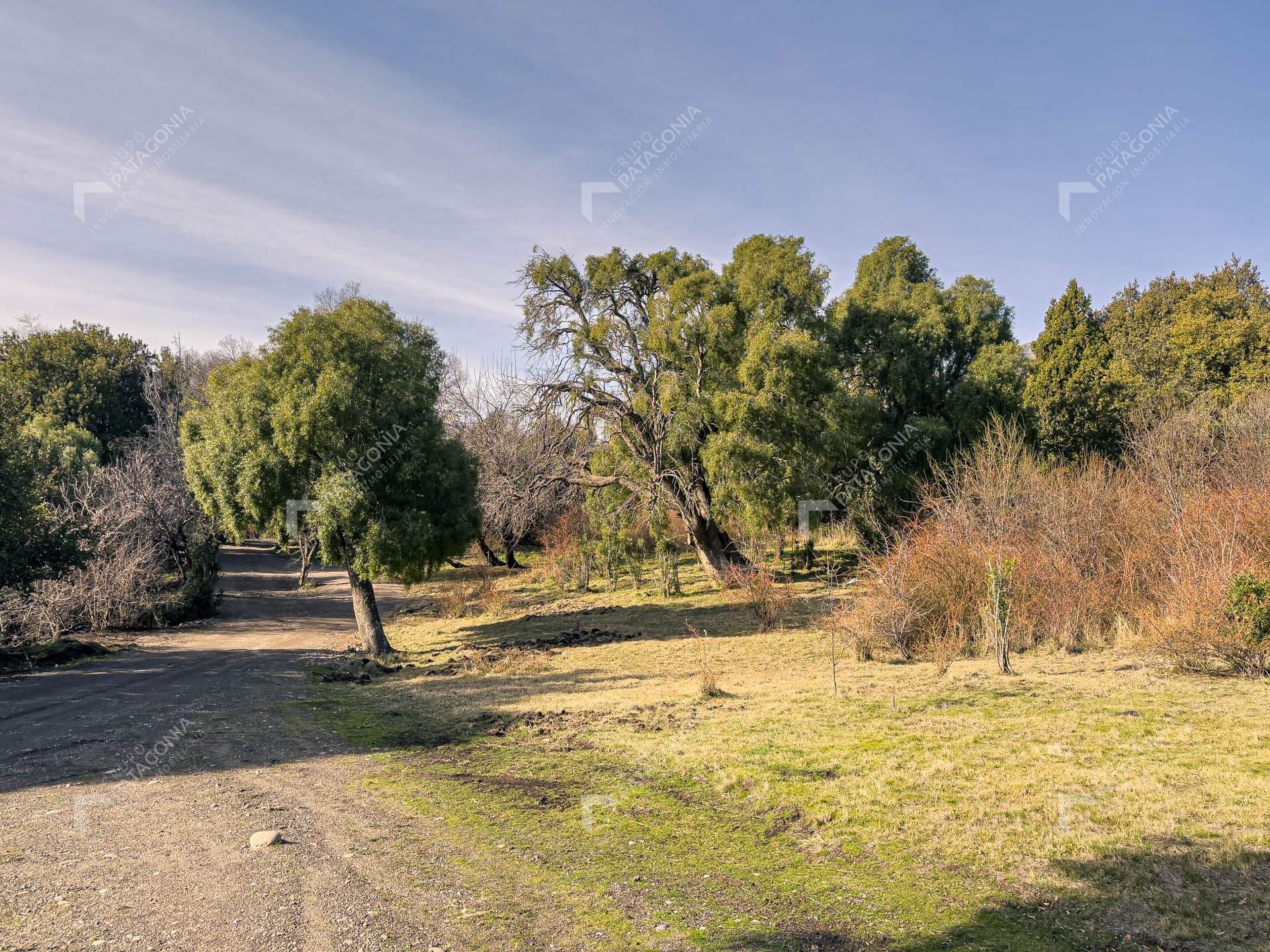 ERS_2026_037_0020
