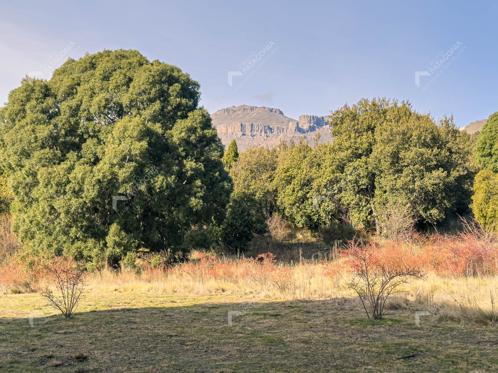 ERS_2026_037_0021