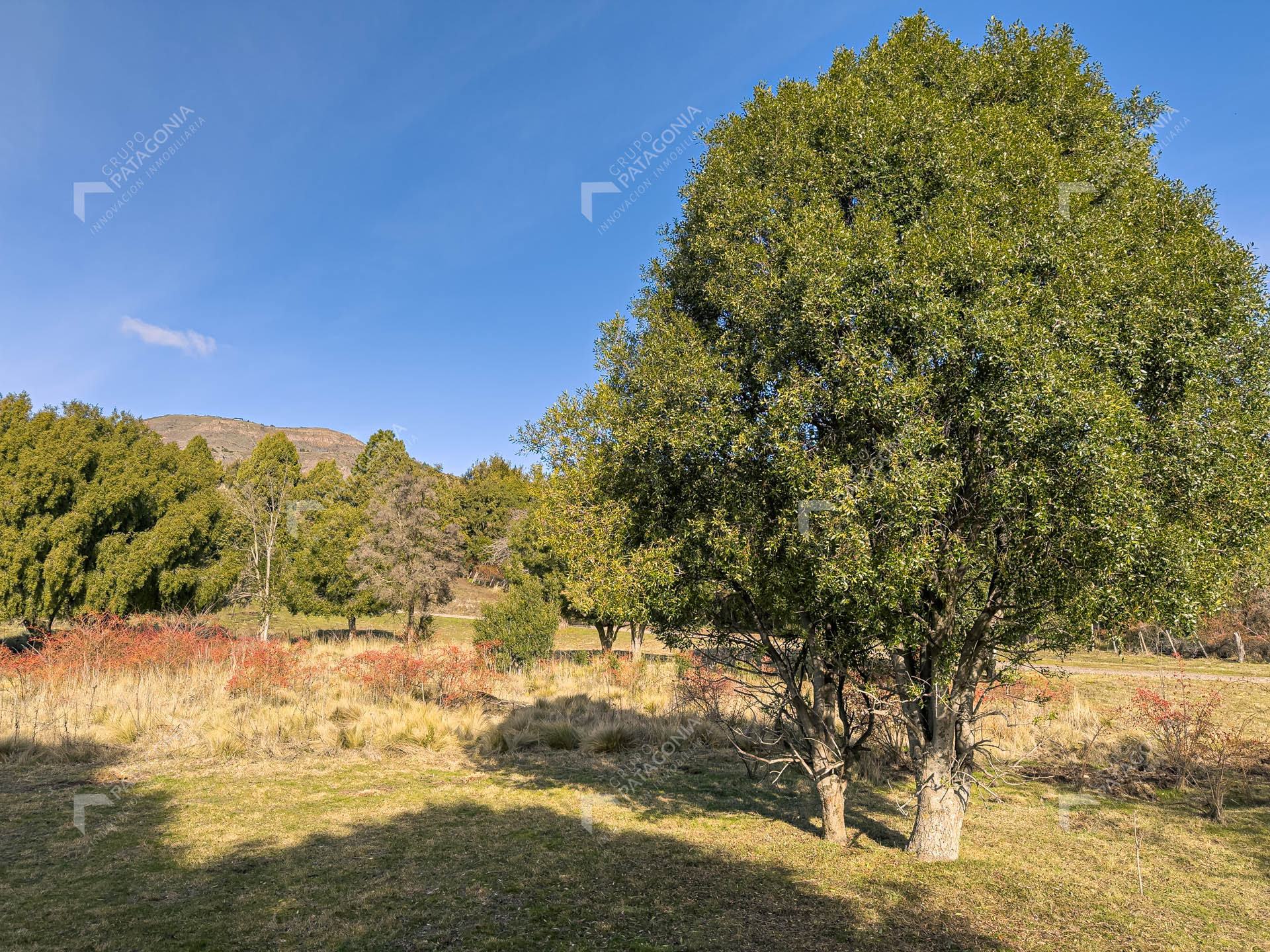 ERS_2026_037_0022