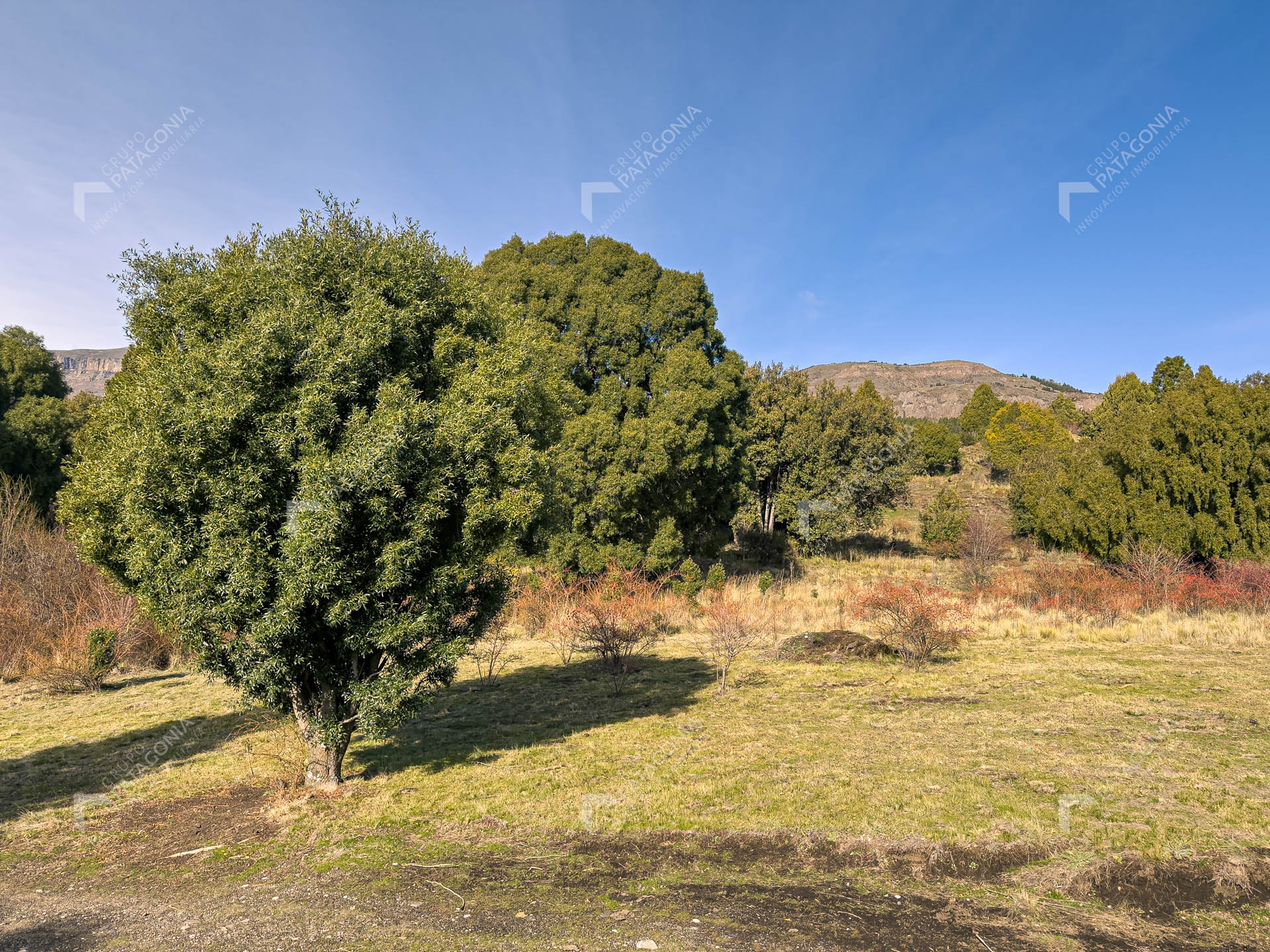 ERS_2026_037_0023