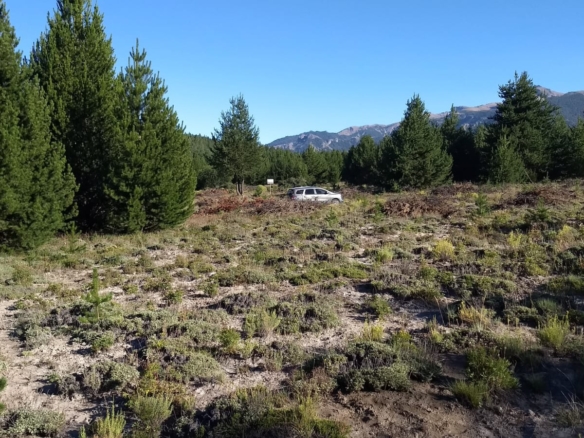 lote terreno en venta en villa lago meliquina san martin d elos andes neuquen patagonia argentina