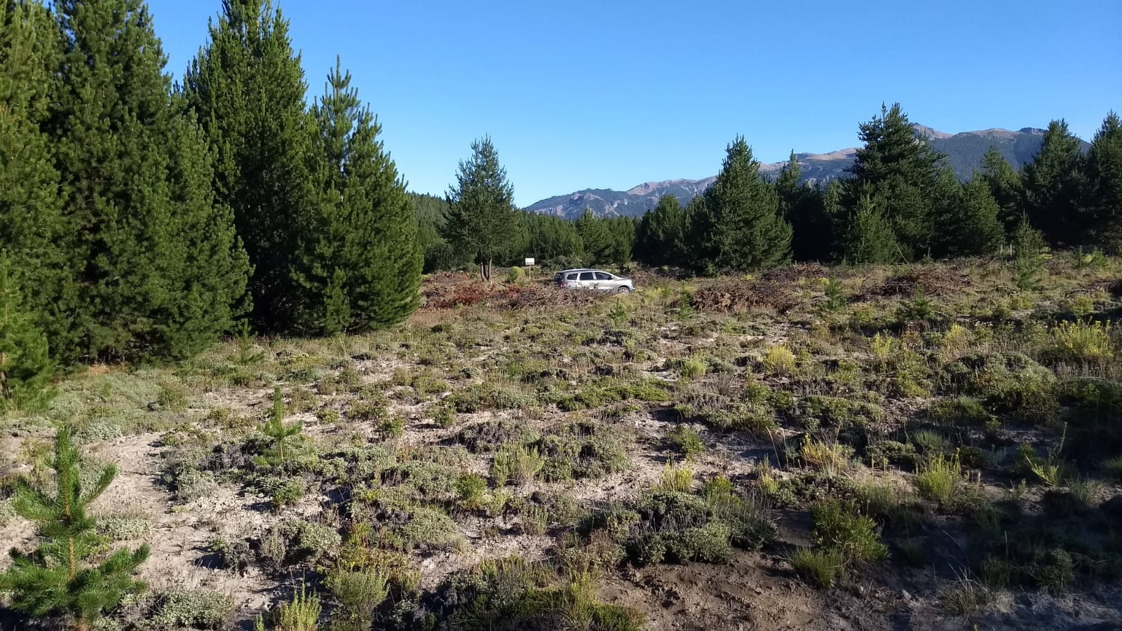 lote terreno en venta en villa lago meliquina san martin d elos andes neuquen patagonia argentina