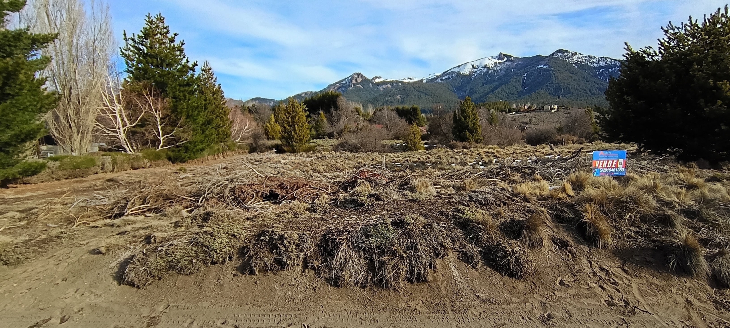 IMG_20260822_165347997_HDR~3