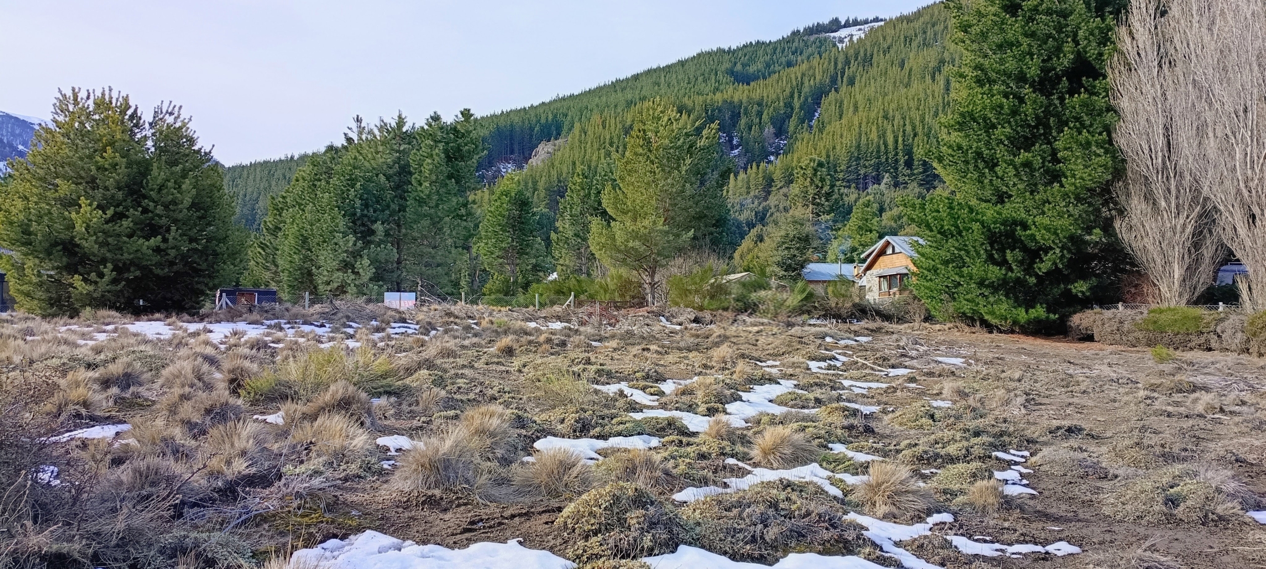 IMG_20260822_165548909_HDR~3