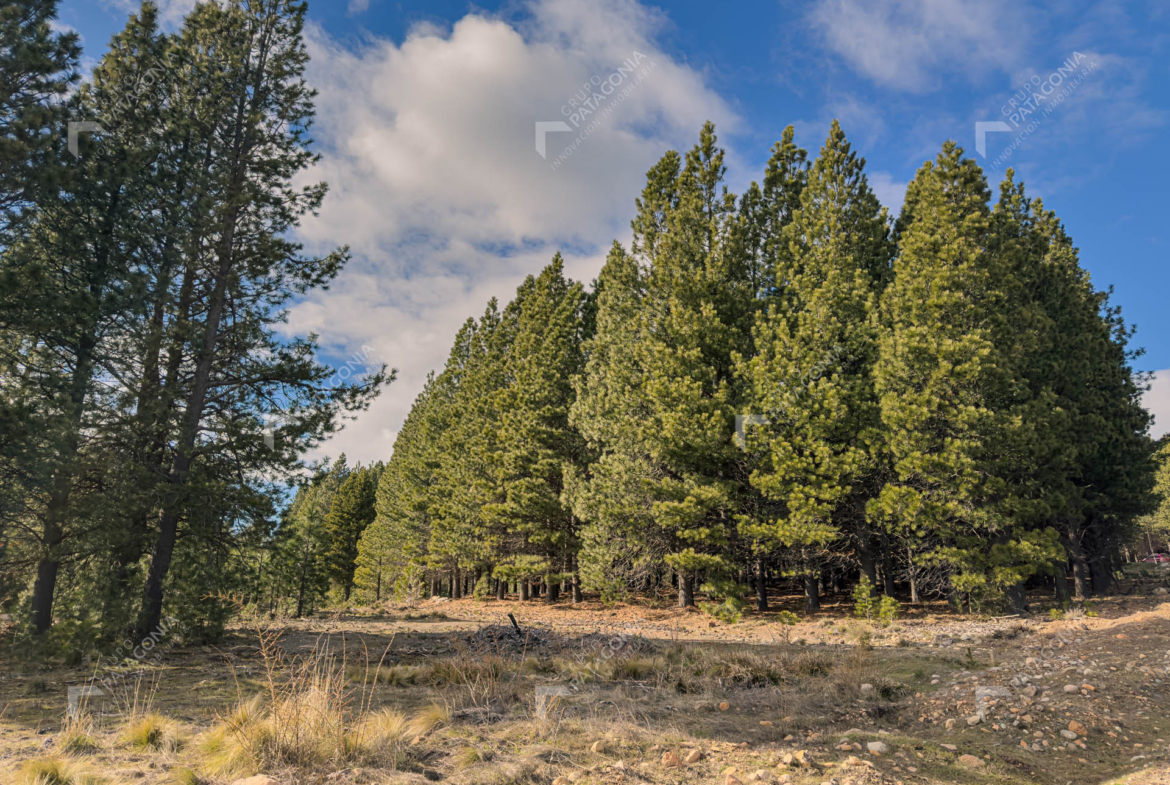 lote terreno en venta en el desafio mountain resort san martin de los andes neuquen patagonia argentina