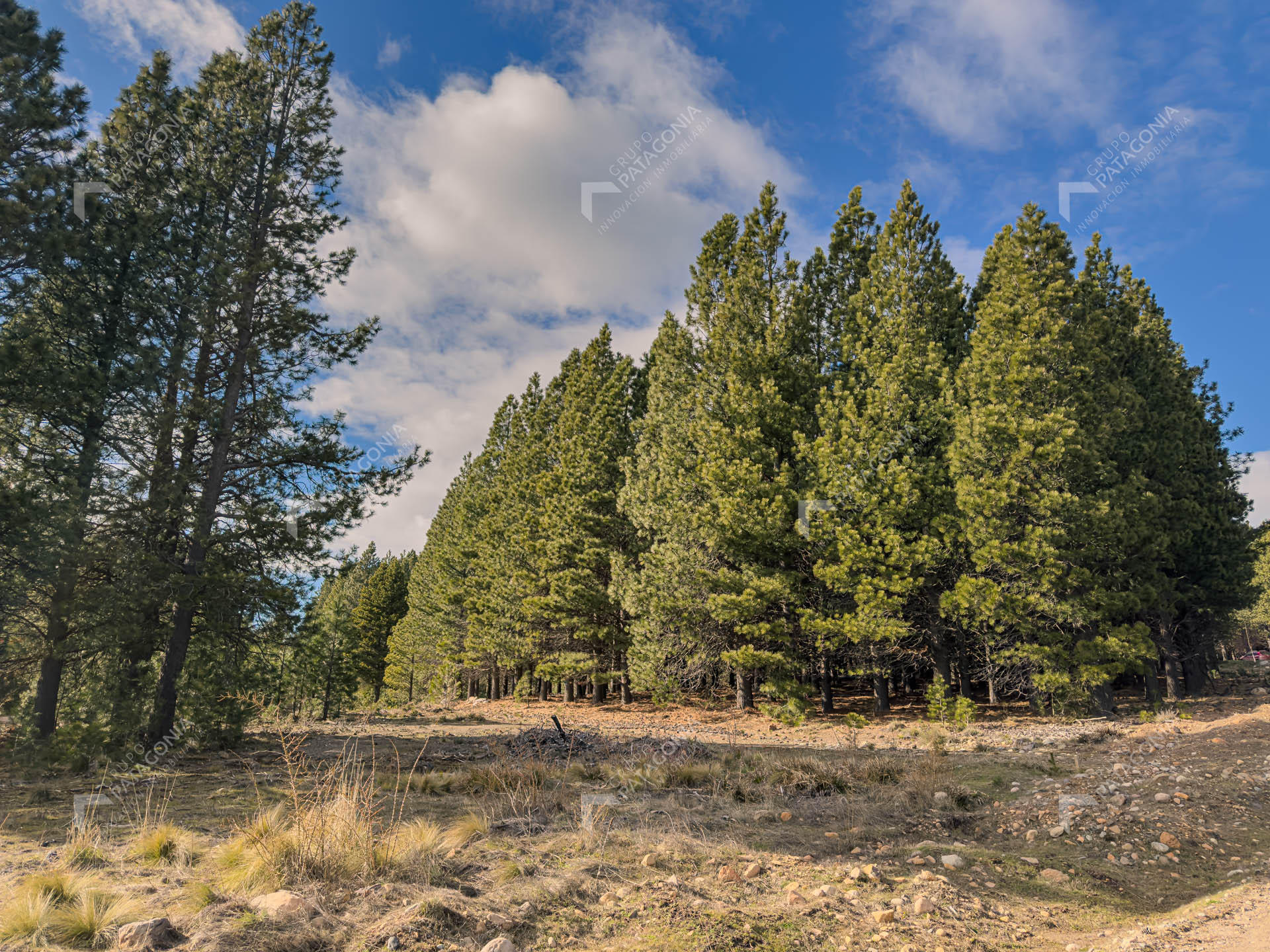 lote terreno en venta en el desafio mountain resort san martin de los andes neuquen patagonia argentina