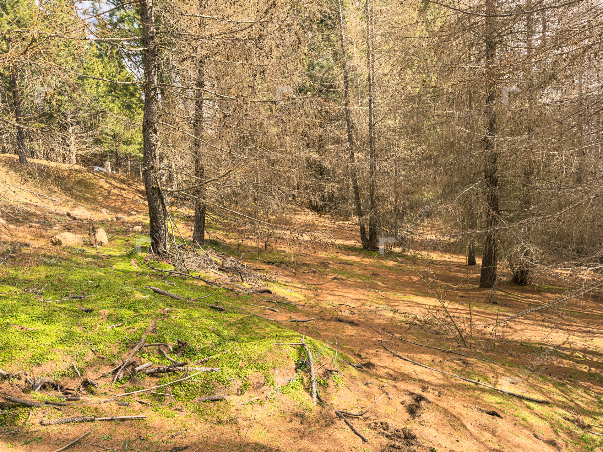 lote terreno en venta en el remanso san martin de los andes neuquen patagonia argentina