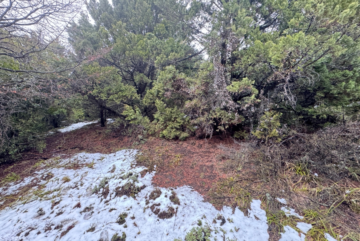lote terreno barato en venta en villa lago meliquina san martin de los andes neuquen patagonia argentina