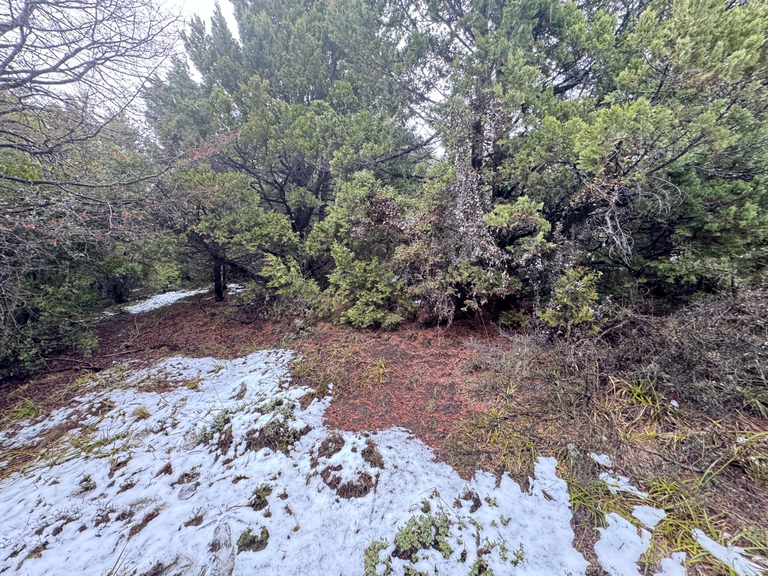 lote terreno barato en venta en villa lago meliquina san martin de los andes neuquen patagonia argentina