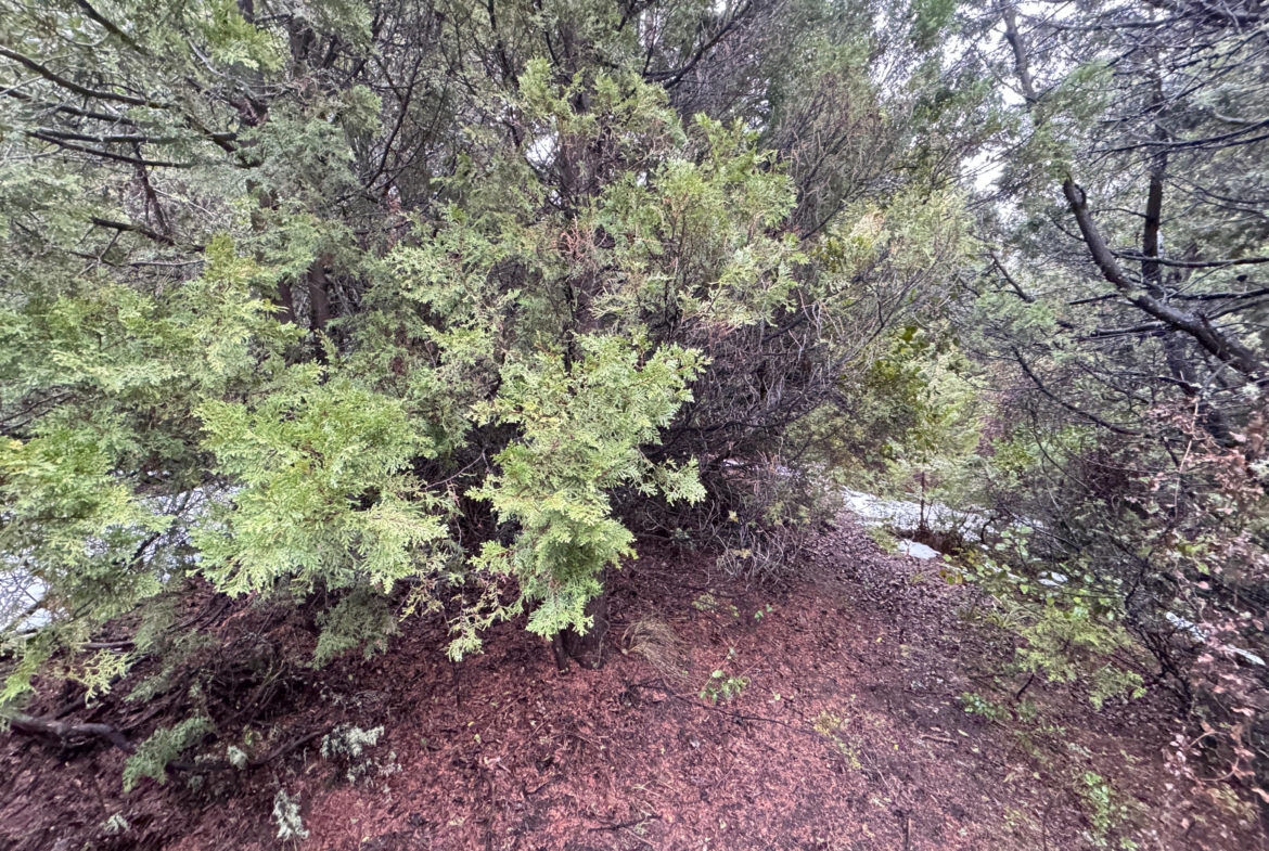 lote terreno barato en venta en villa lago meliquina san martin de los andes neuquen patagonia argentina