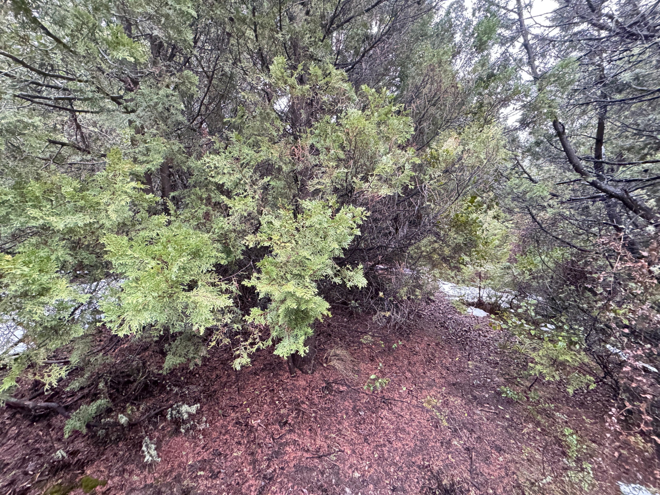 lote terreno barato en venta en villa lago meliquina san martin de los andes neuquen patagonia argentina