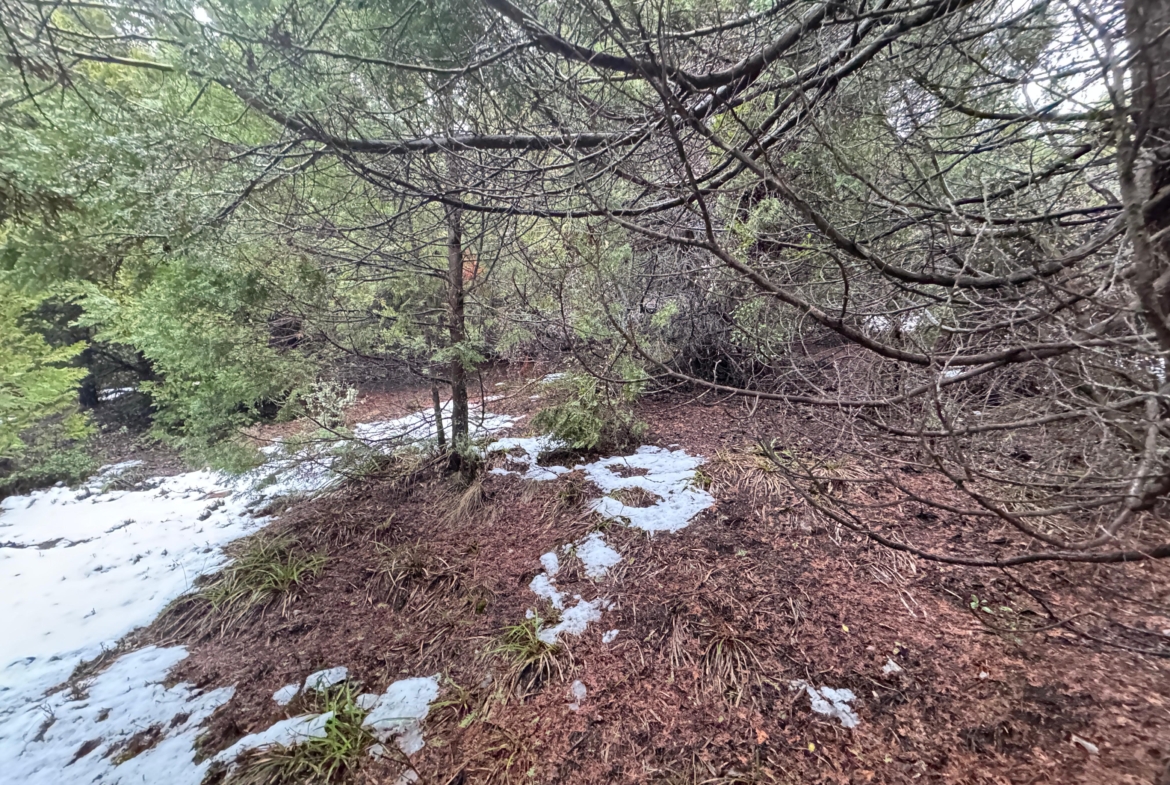 lote terreno barato en venta en villa lago meliquina san martin de los andes neuquen patagonia argentina