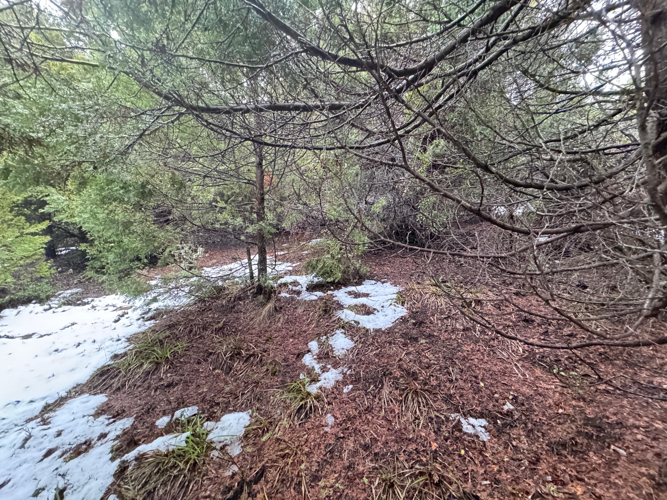 lote terreno barato en venta en villa lago meliquina san martin de los andes neuquen patagonia argentina
