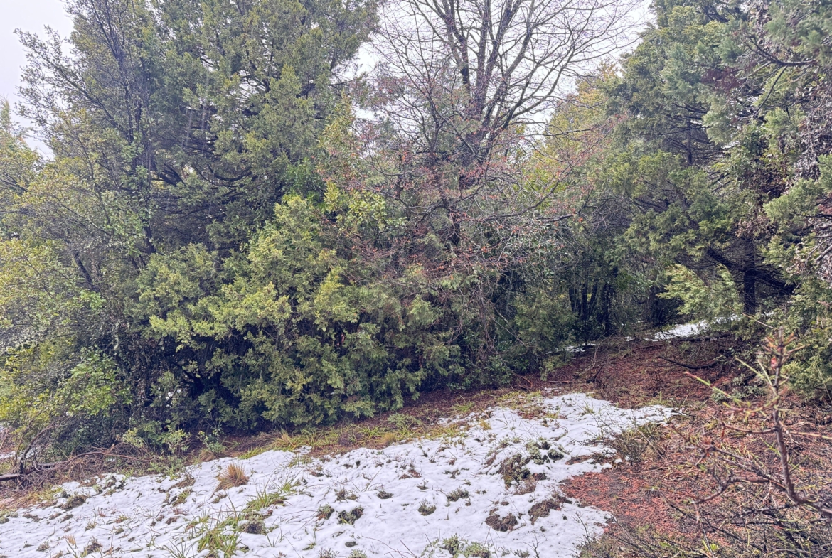 lote terreno barato en venta en villa lago meliquina san martin de los andes neuquen patagonia argentina