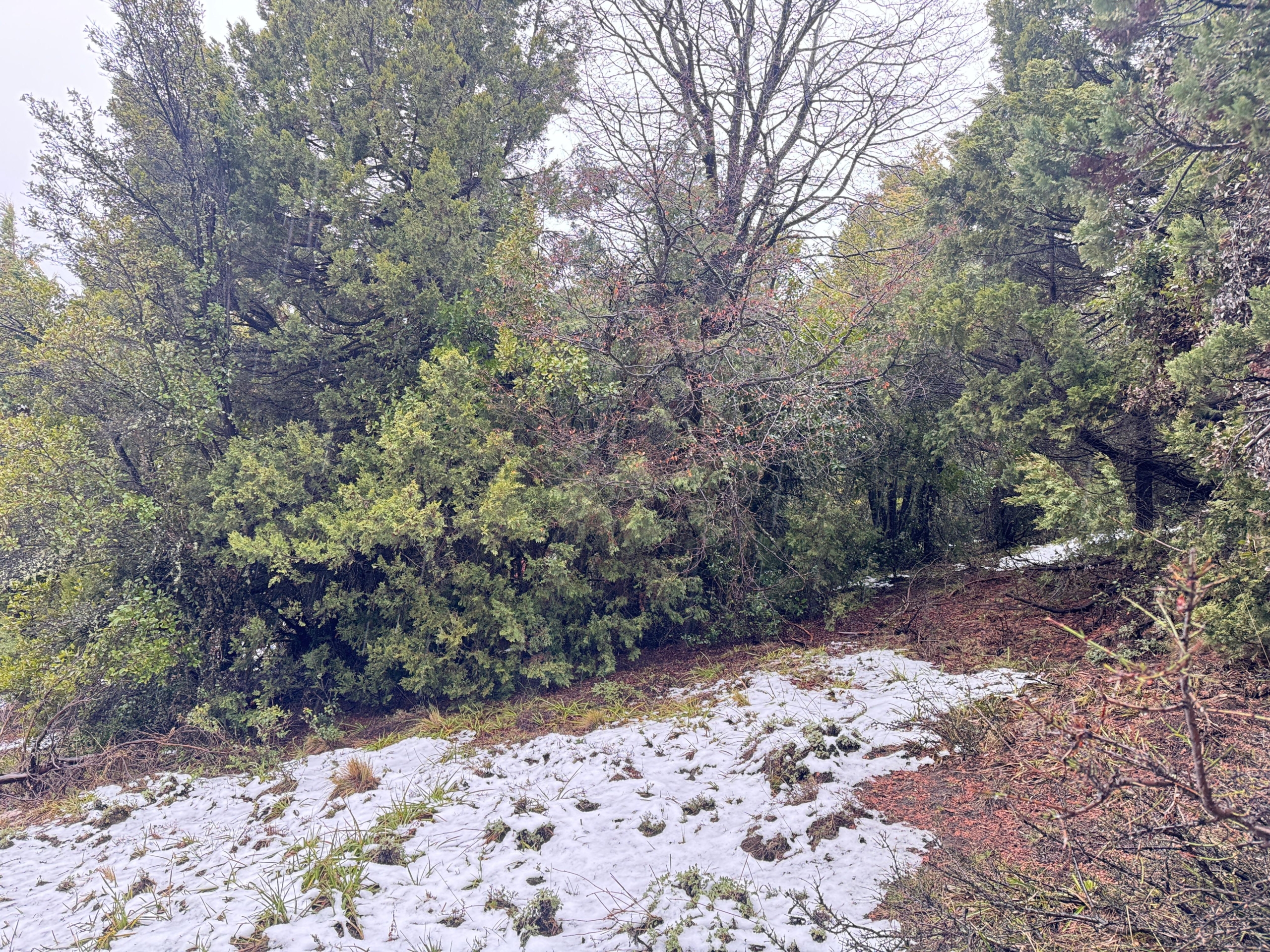 lote terreno barato en venta en villa lago meliquina san martin de los andes neuquen patagonia argentina