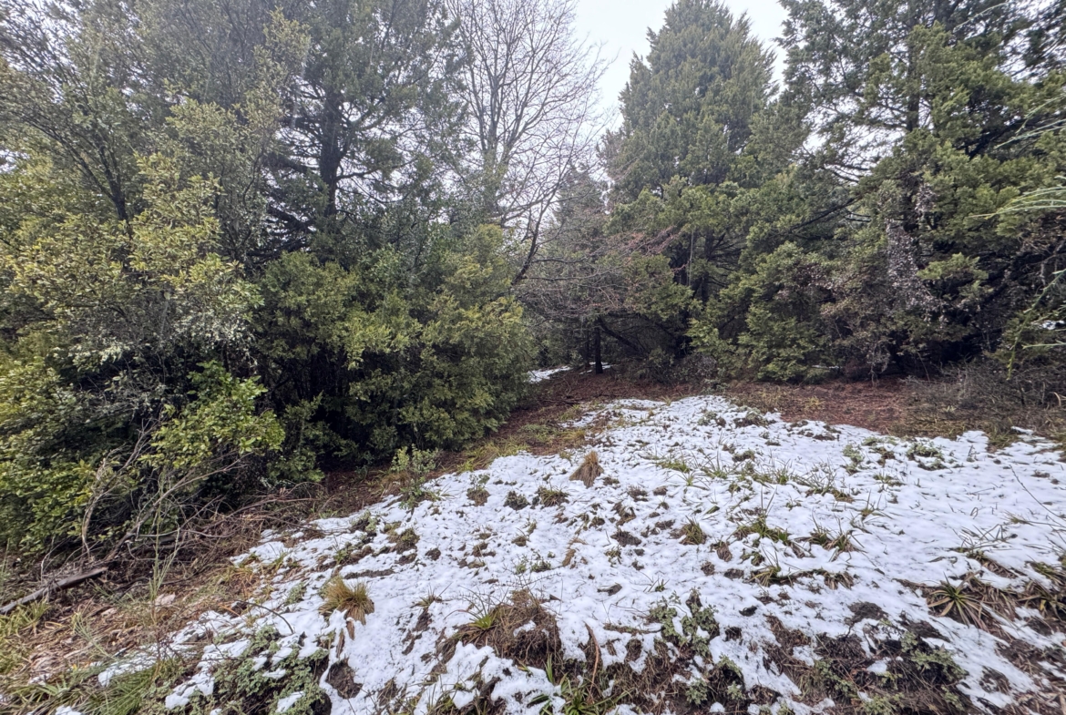 lote terreno barato en venta en villa lago meliquina san martin de los andes neuquen patagonia argentina