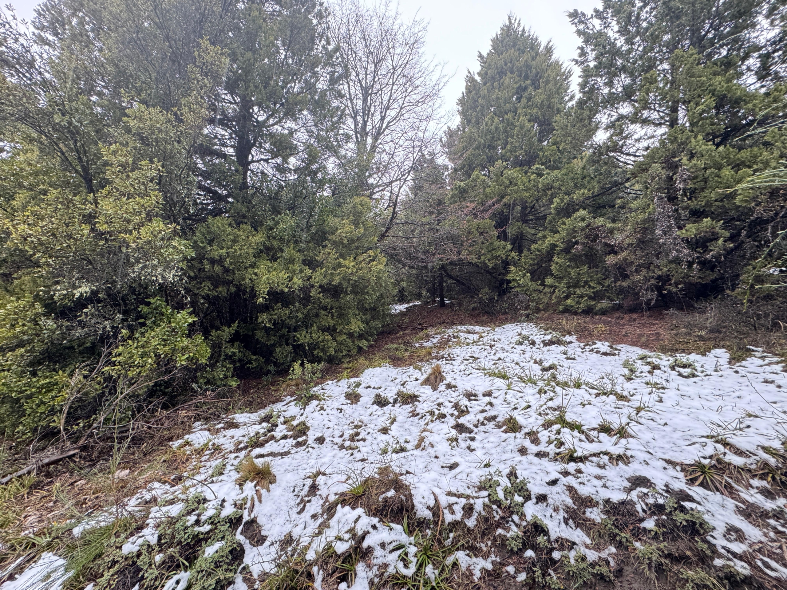 lote terreno barato en venta en villa lago meliquina san martin de los andes neuquen patagonia argentina