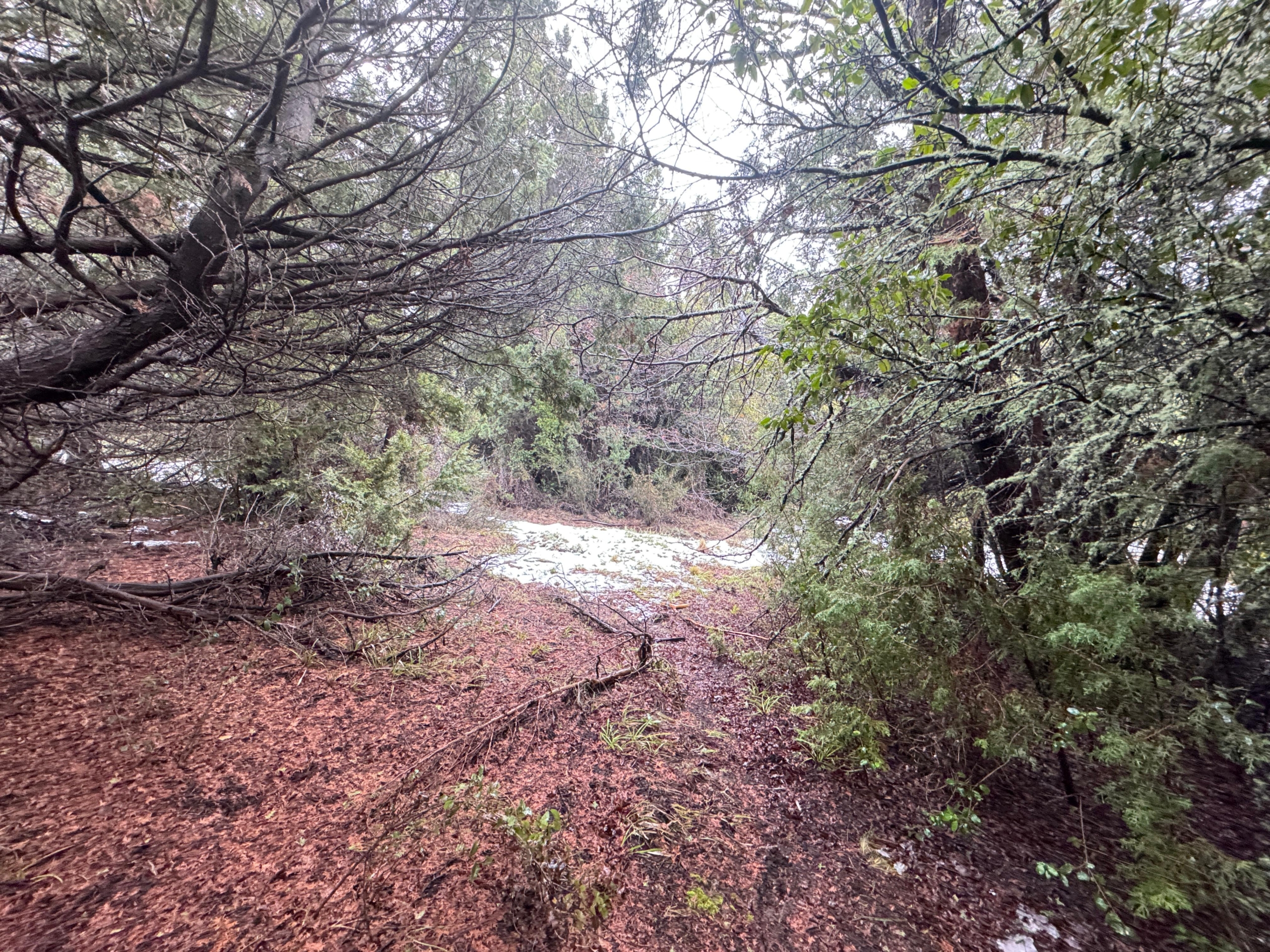 lote terreno barato en venta en villa lago meliquina san martin de los andes neuquen patagonia argentina