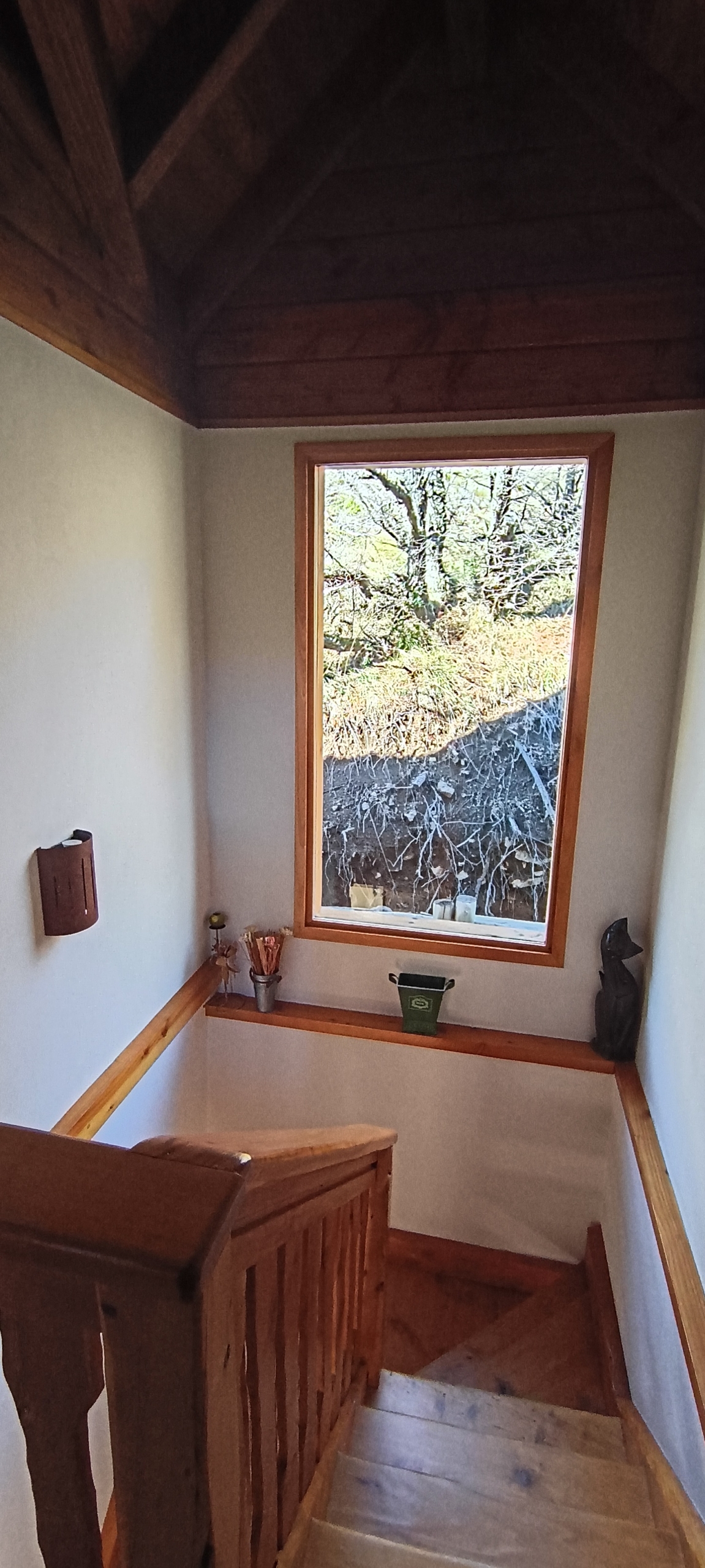 IMG_20260905_155901585_HDR