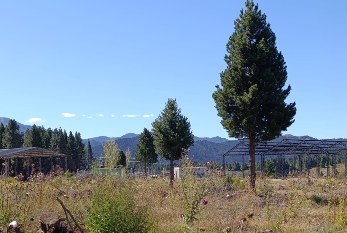 galpon deposito en alquiler ideal logistica sobre ruta 40 en el ingreso a san martin de los andes neuquen patagonia argentina