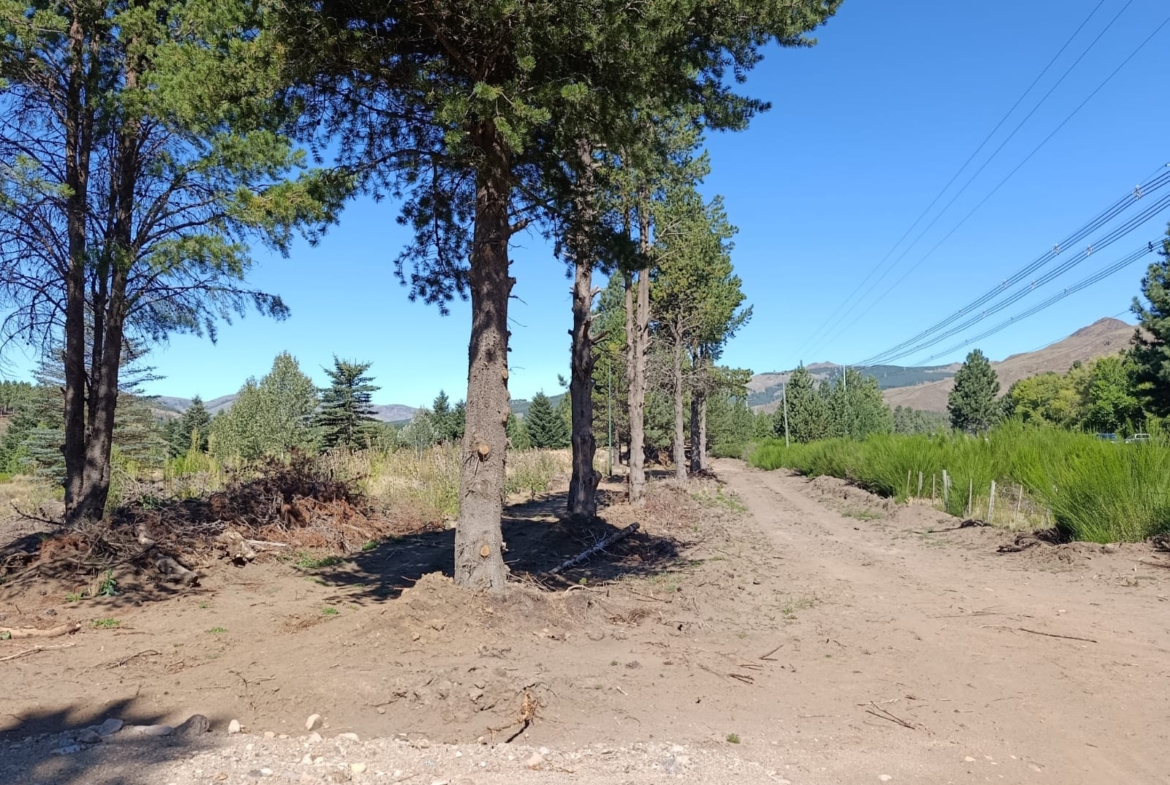 galpon deposito en alquiler ideal logistica sobre ruta 40 en el ingreso a san martin de los andes neuquen patagonia argentina