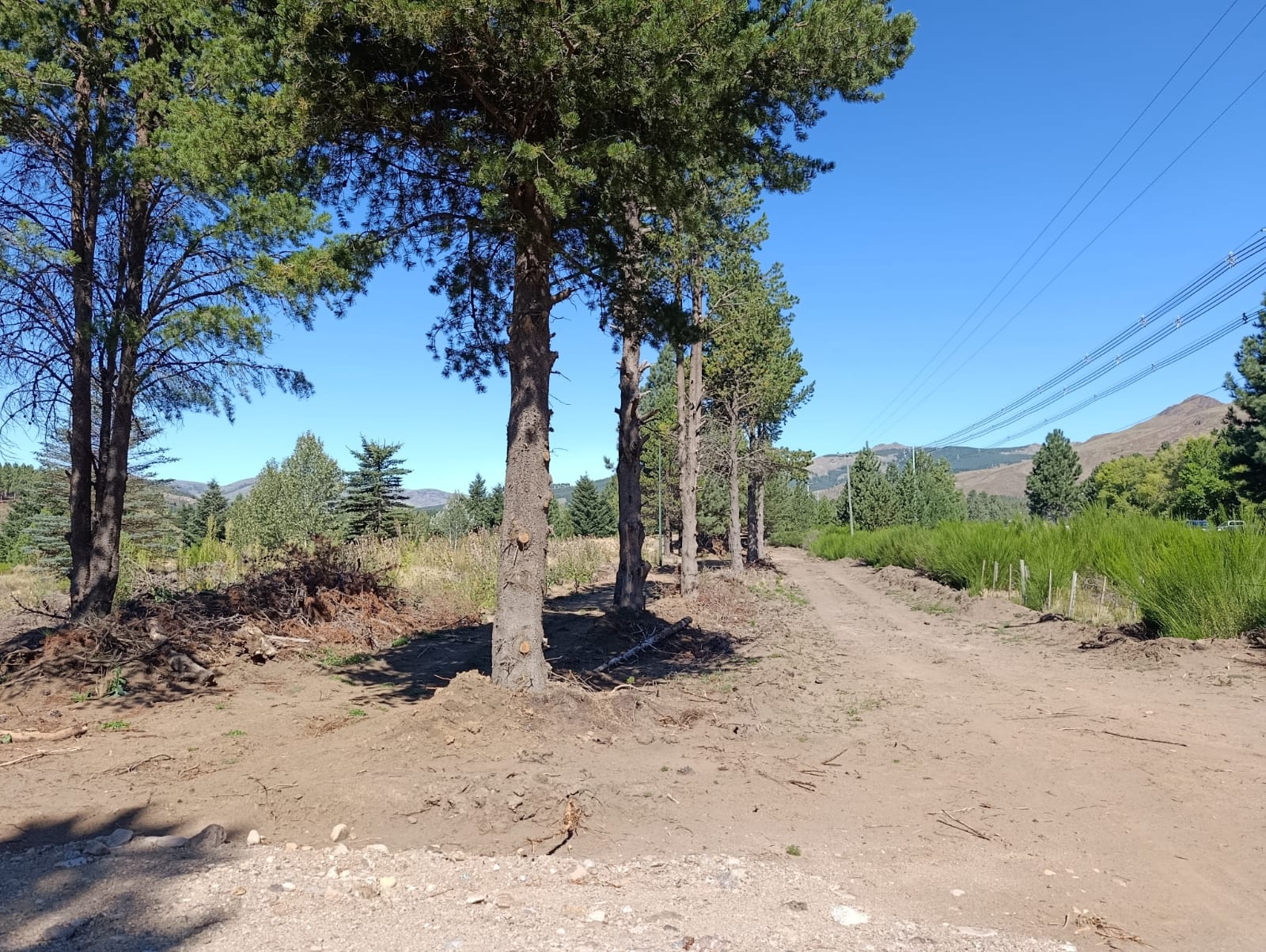 galpon deposito en alquiler ideal logistica sobre ruta 40 en el ingreso a san martin de los andes neuquen patagonia argentina